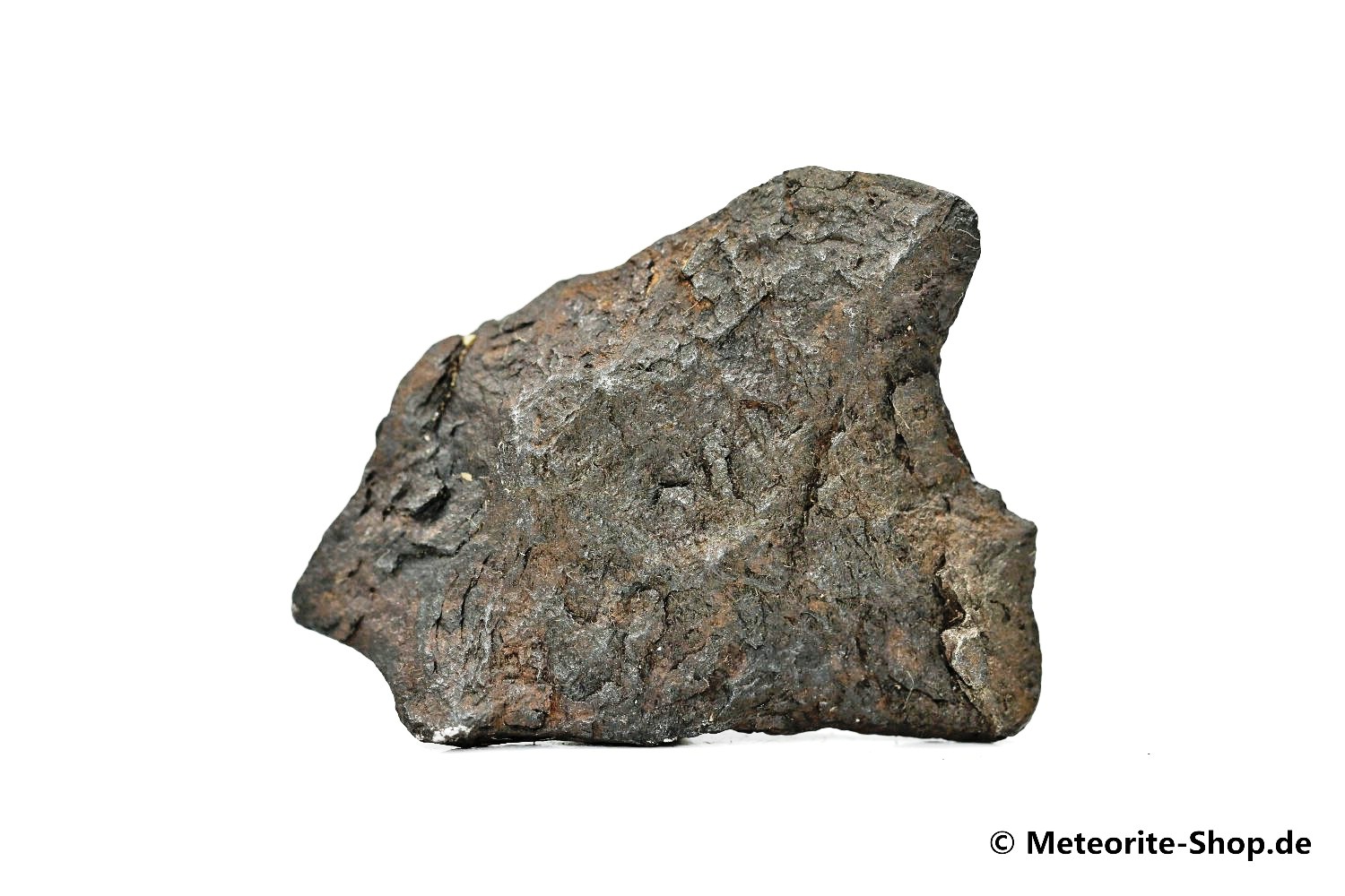 Canyon Diablo Meteorit - 31,20 g