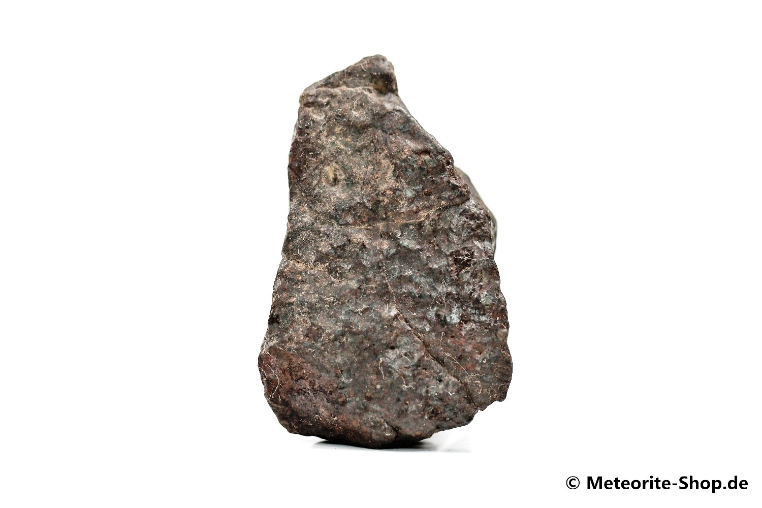 NWA Agadir Meteorit - 40,80 g