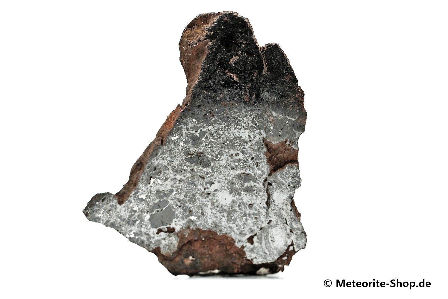 Vaca Muerta Meteorit - 19,30 g