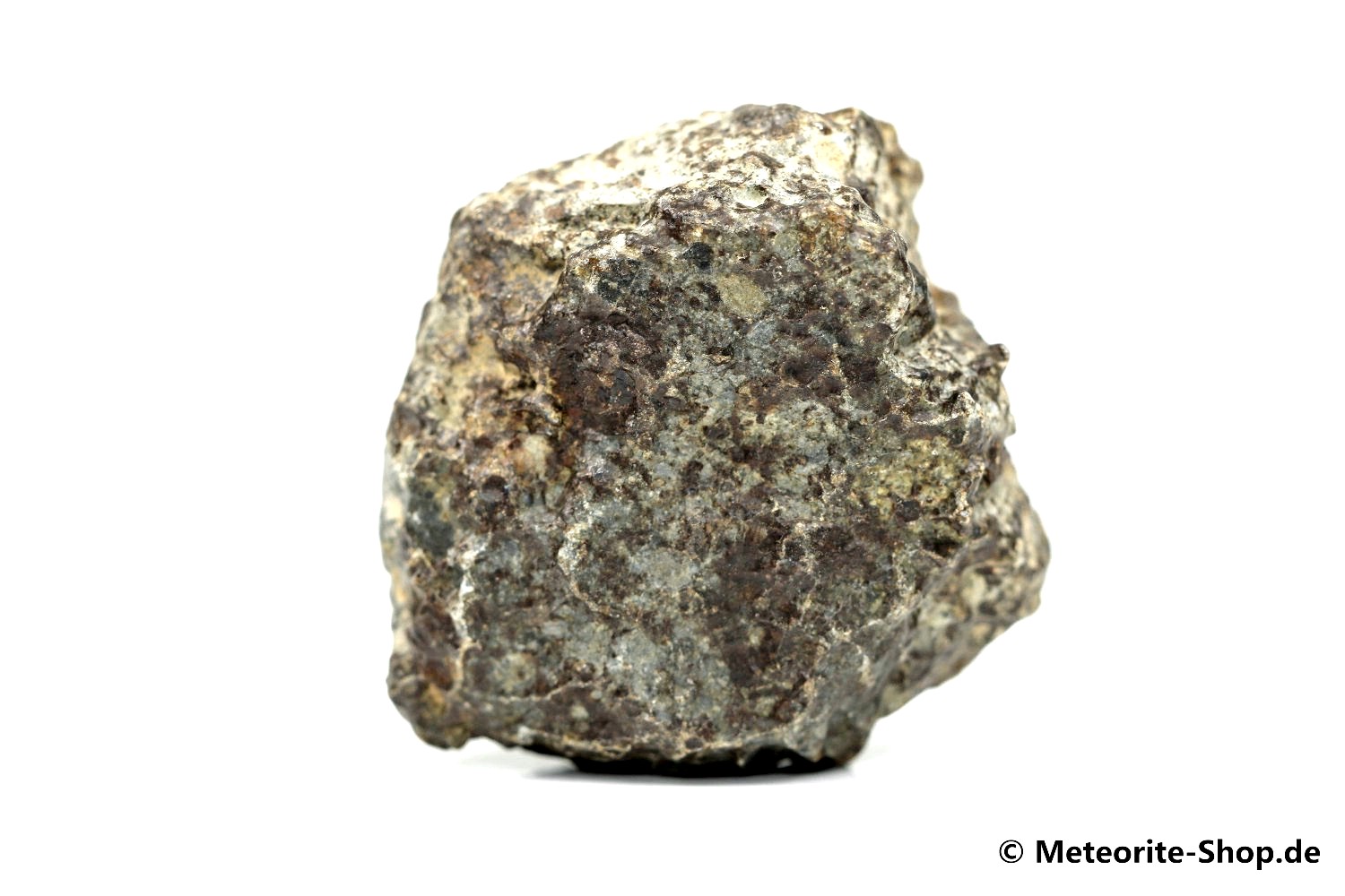 NWA 869 Meteorit - 95,30 g