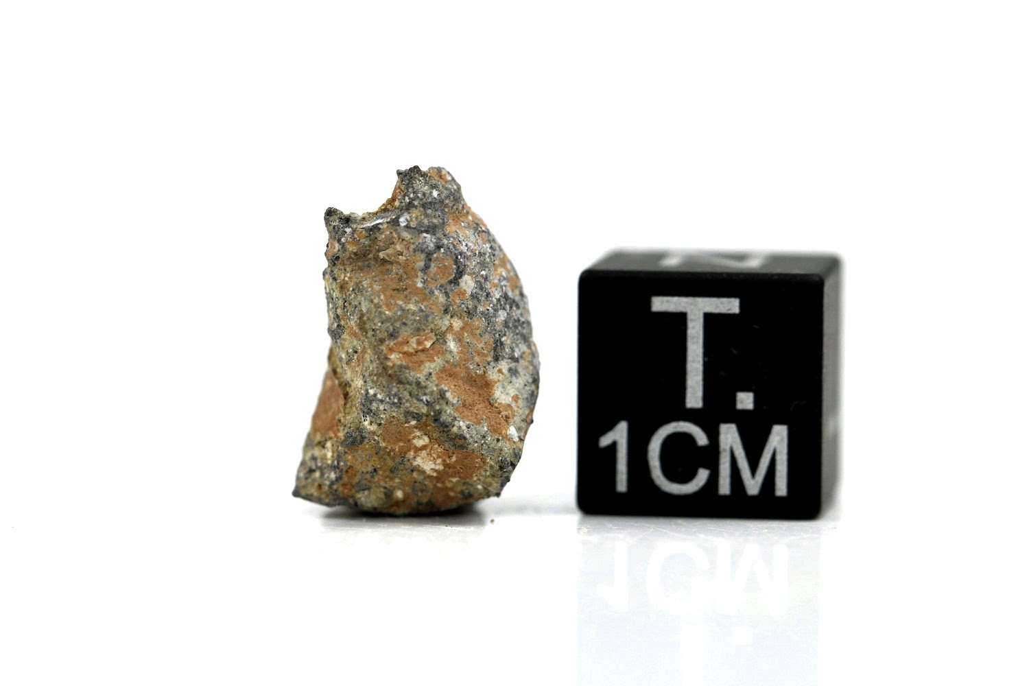 NWA 11407 Mond Meteorit - 1,316 g