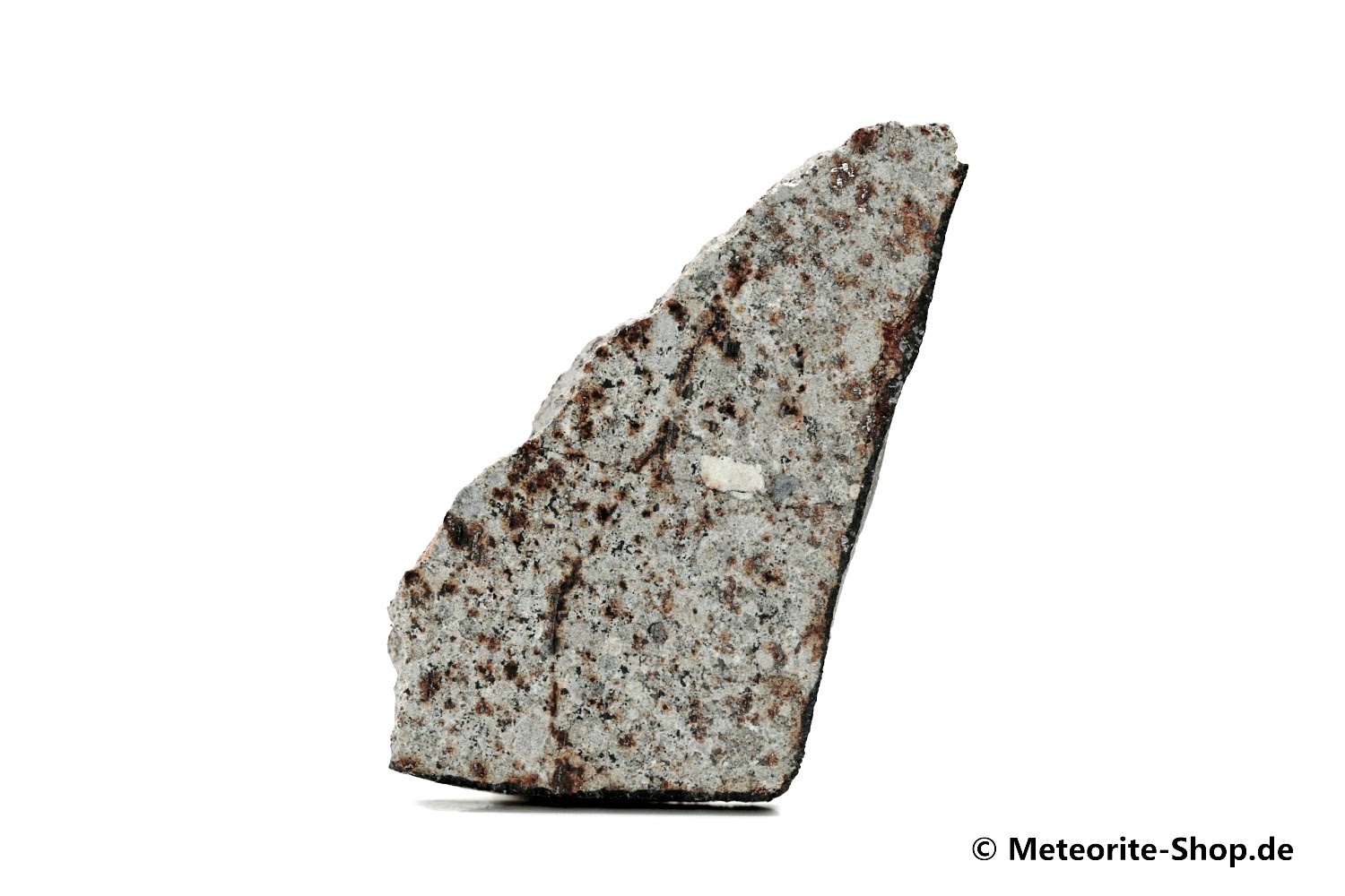 HaH 346 Meteorit GHADAMIS - 6,00 g