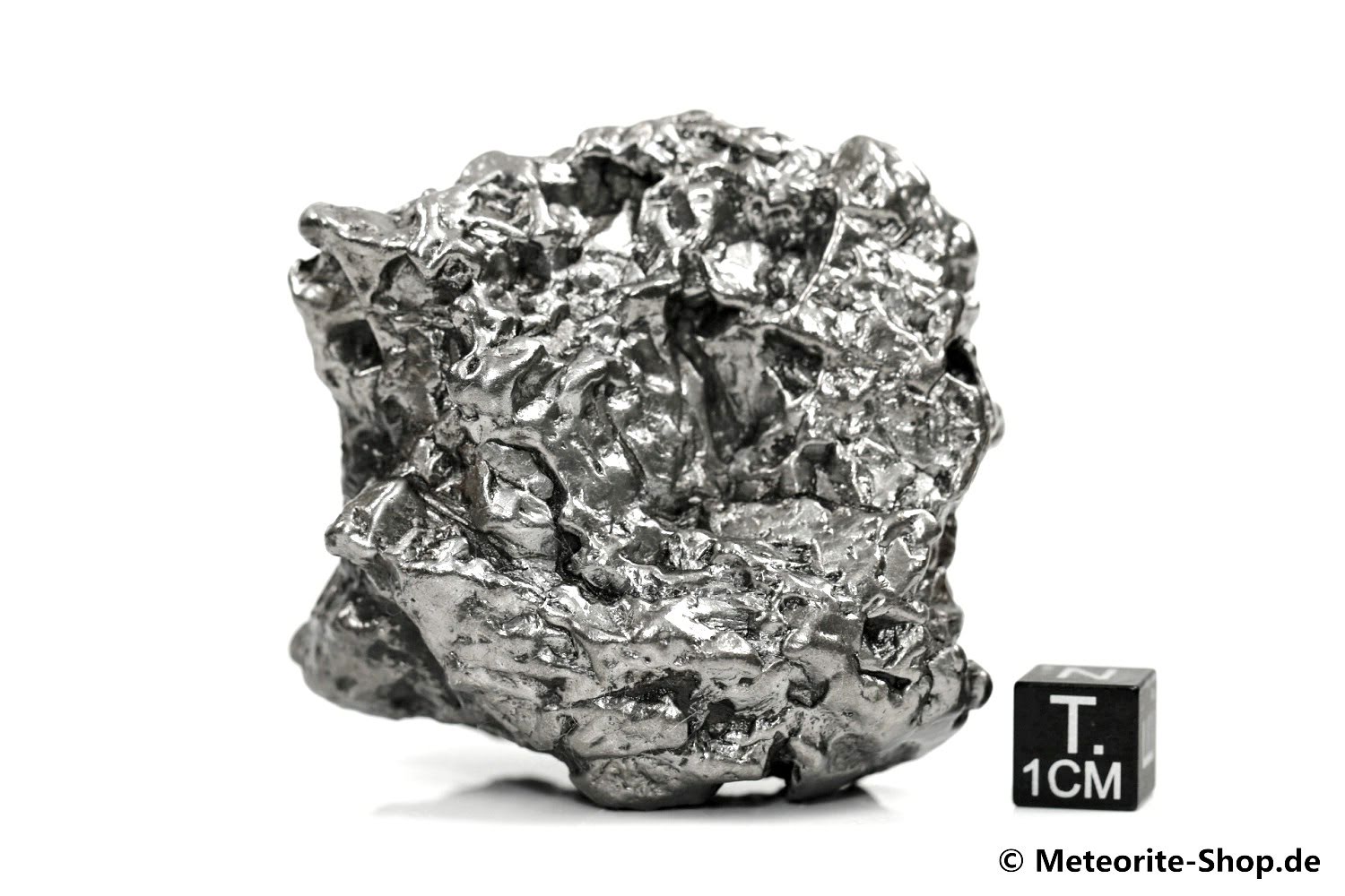 Campo del Cielo Meteorit - 304,40 g
