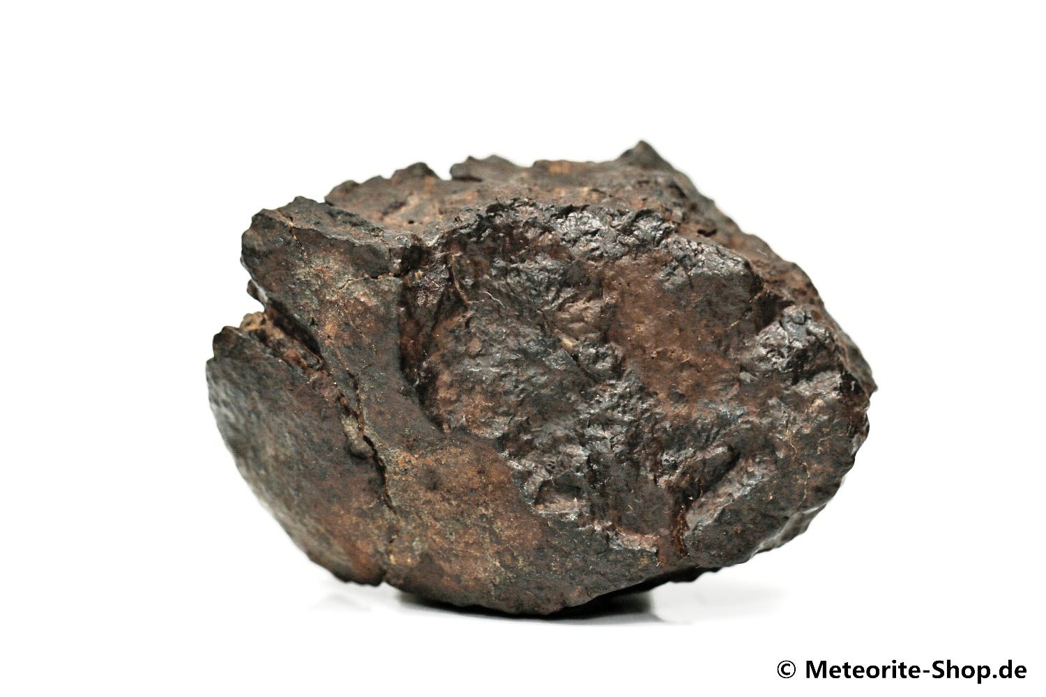 NWA Casablanca Meteorit - 62,80 g