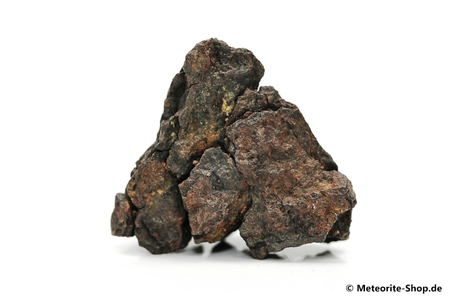 Vaca Muerta Meteorit - 17,30 g