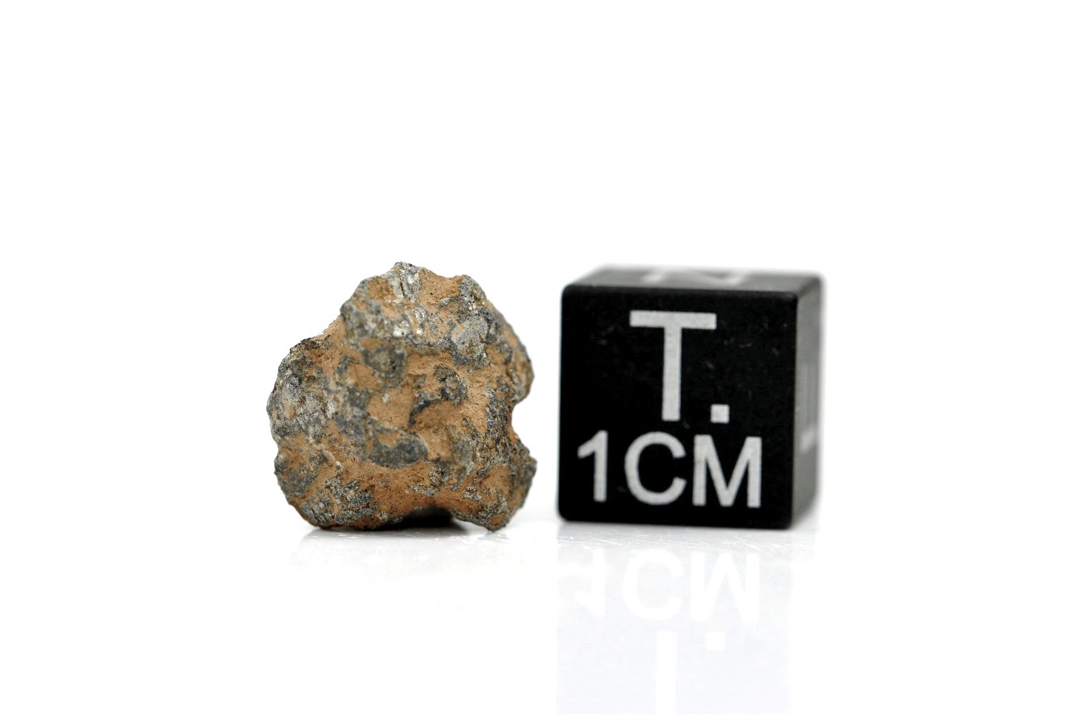 NWA 11407 Mond Meteorit - 0,830 g