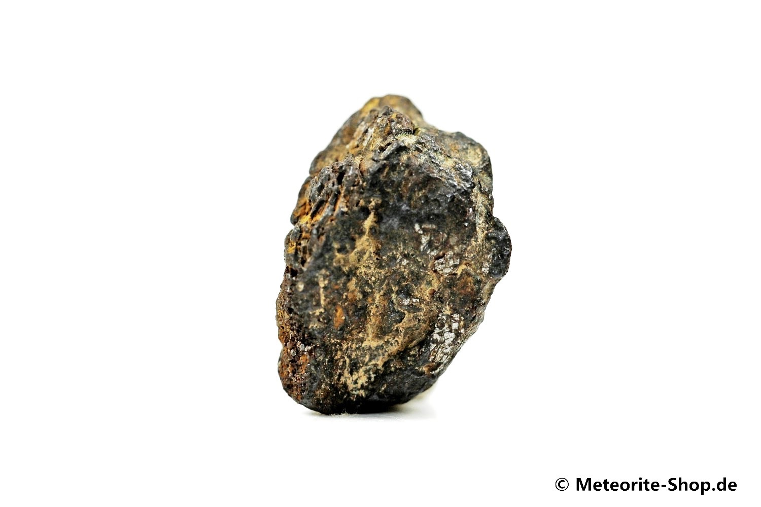 NWA 7920 Meteorit - 3,48 g