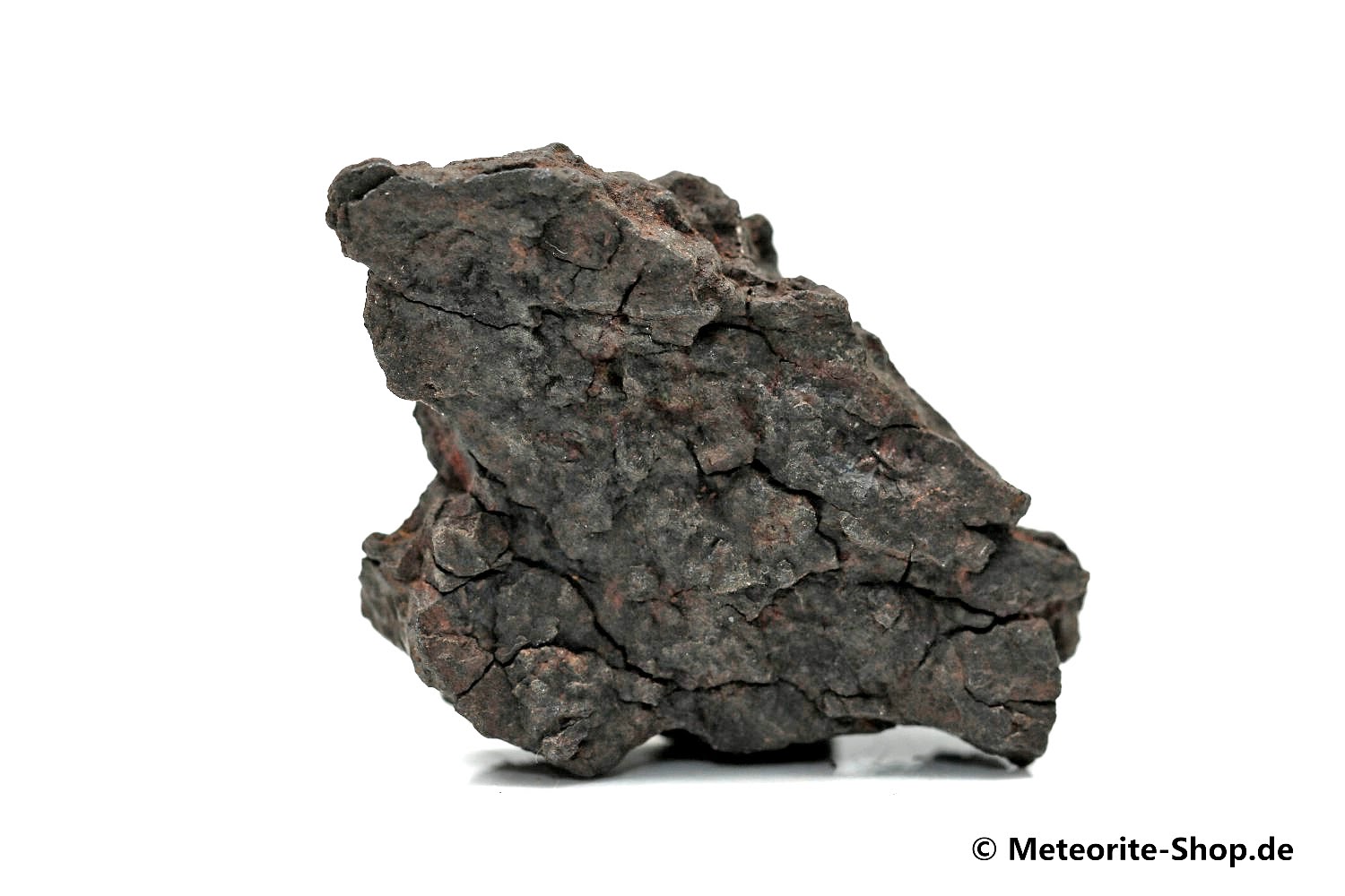 Vaca Muerta Meteorit - 20,70 g