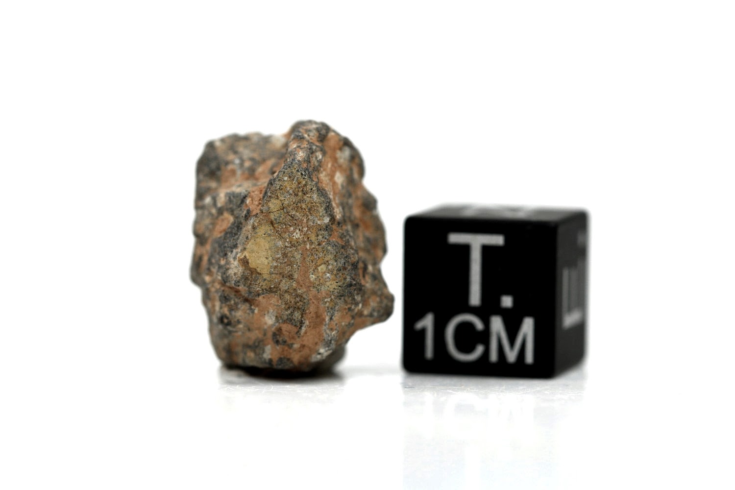 NWA 11407 Mond Meteorit - 2,507 g