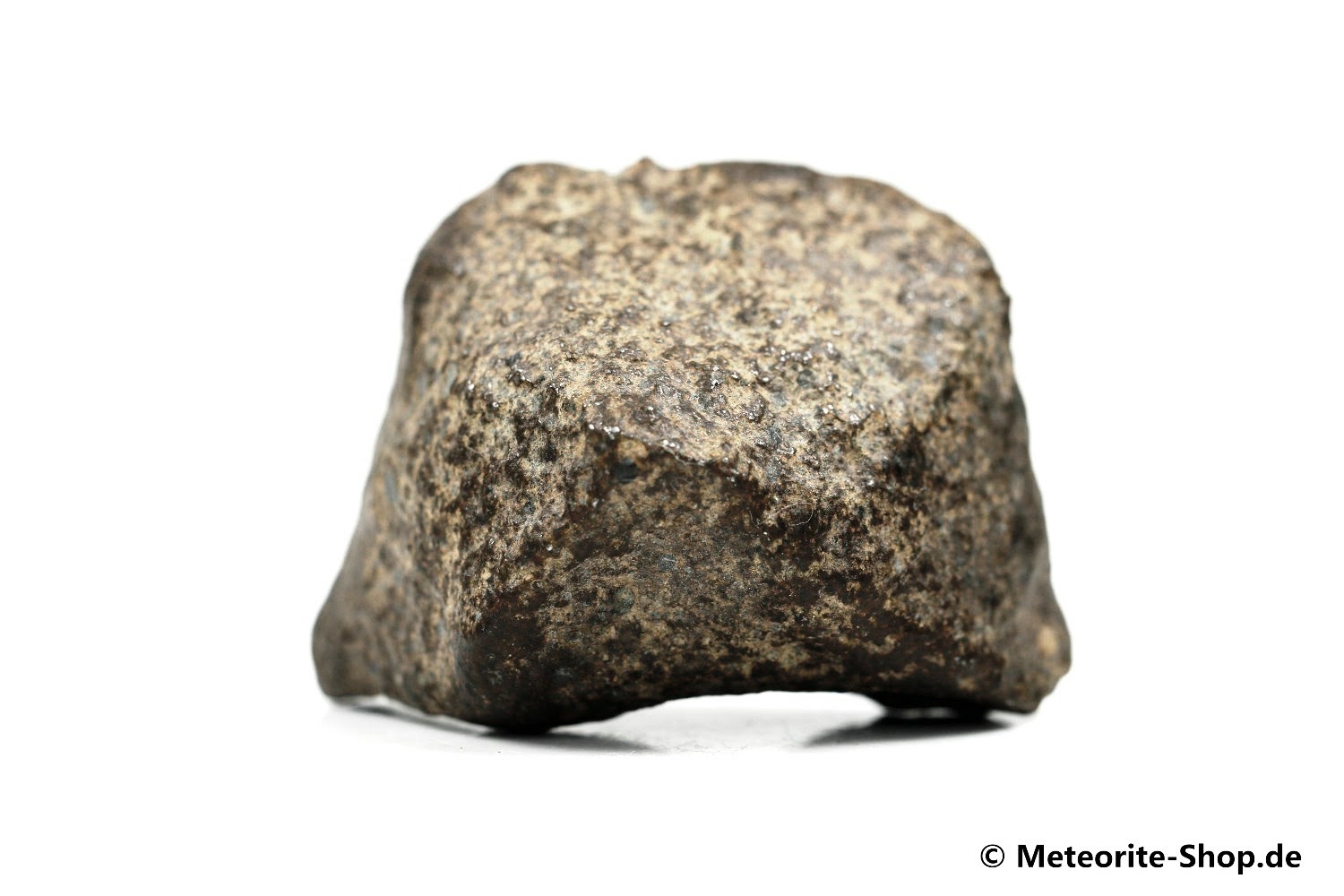 NWA Rissani Meteorit - 59,80 g