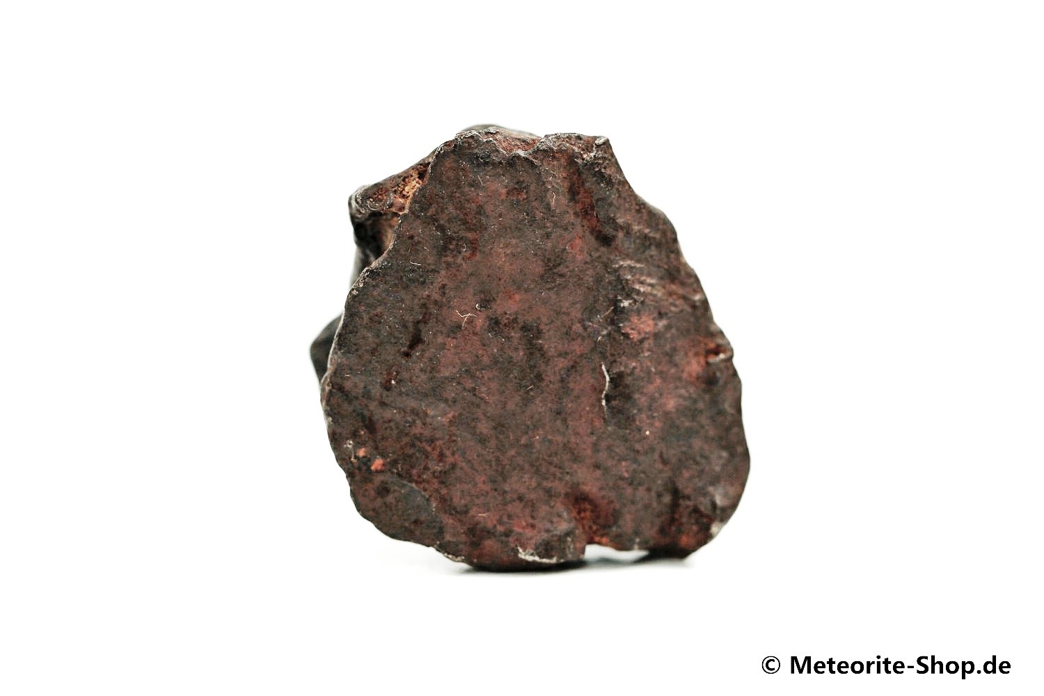 Gebel Kamil Meteorit - 51,70 g
