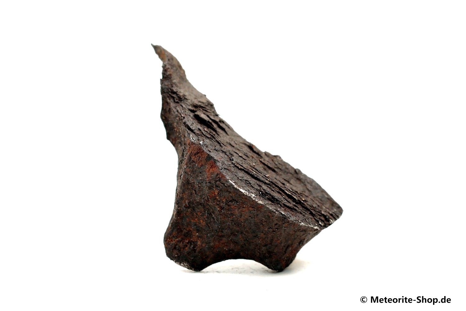 Gibeon Meteorit - 145,80 g