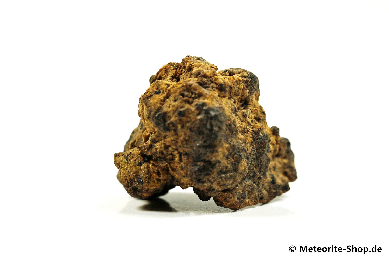 NWA 12953 Meteorit - 26,70 g