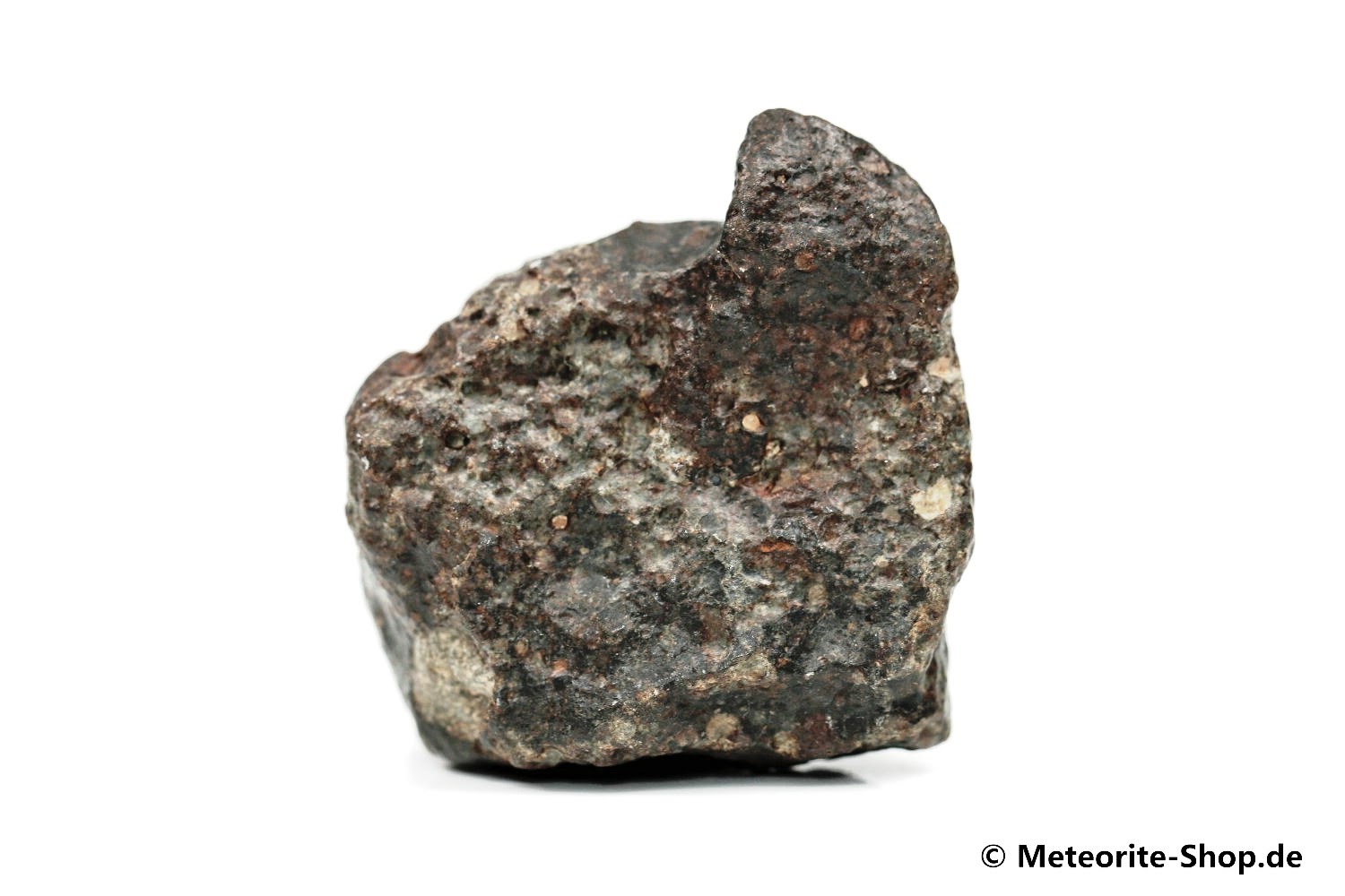 NWA 869 Meteorit - 42,10 g