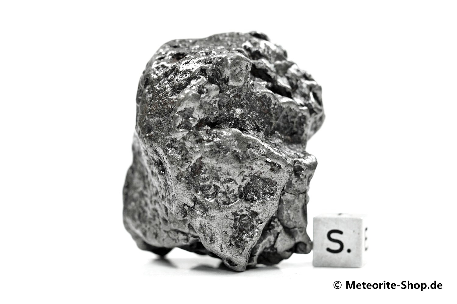 Campo del Cielo Meteorit - 207,70 g