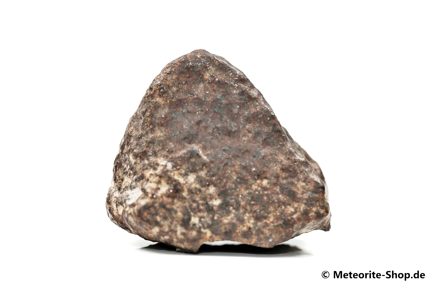 NWA Casablanca Meteorit - 60,20 g