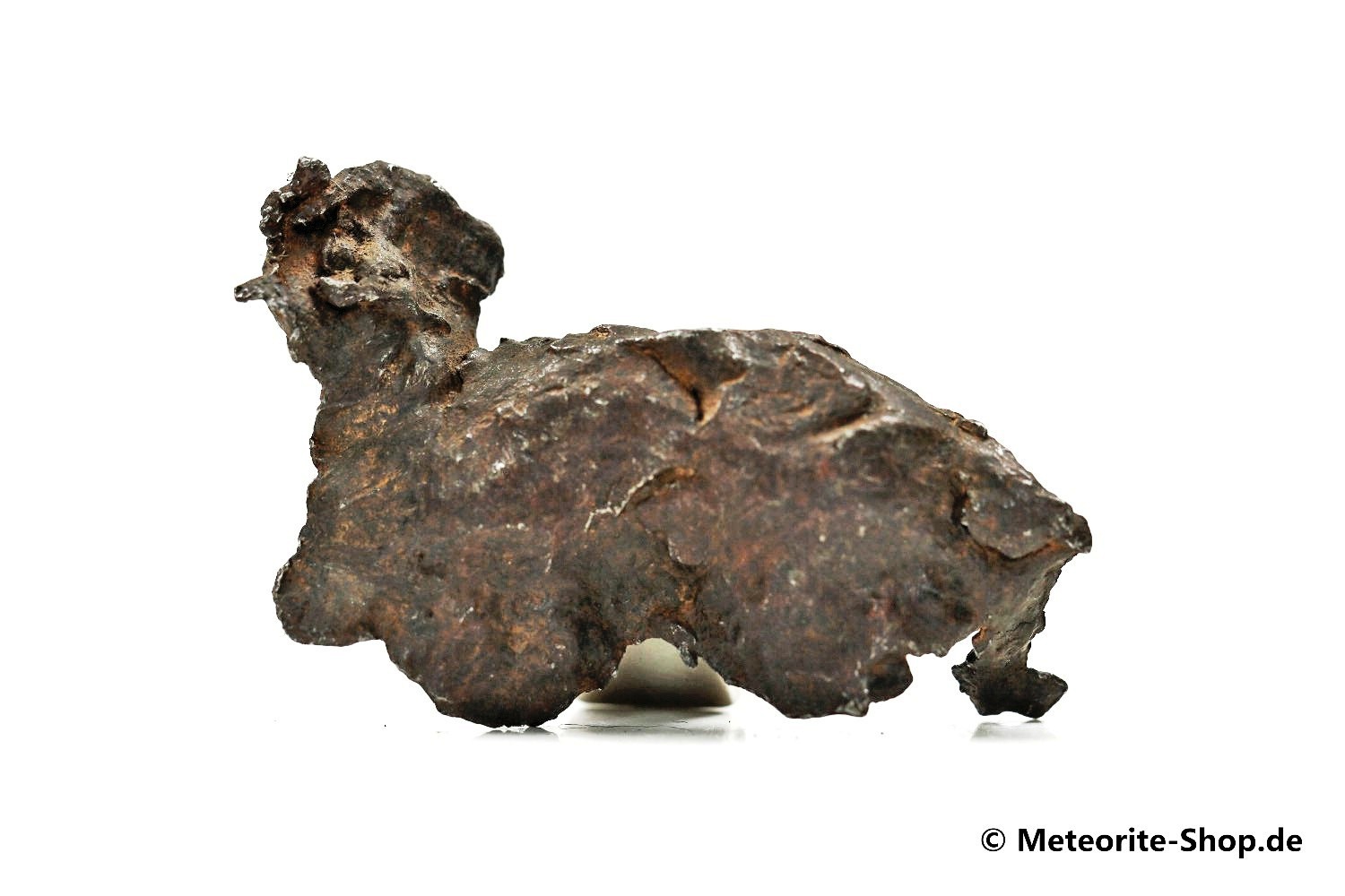 Sikhote-Alin Meteorit - 22,80 g