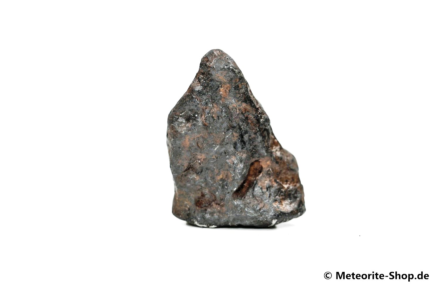 Canyon Diablo Meteorit - 21,50 g