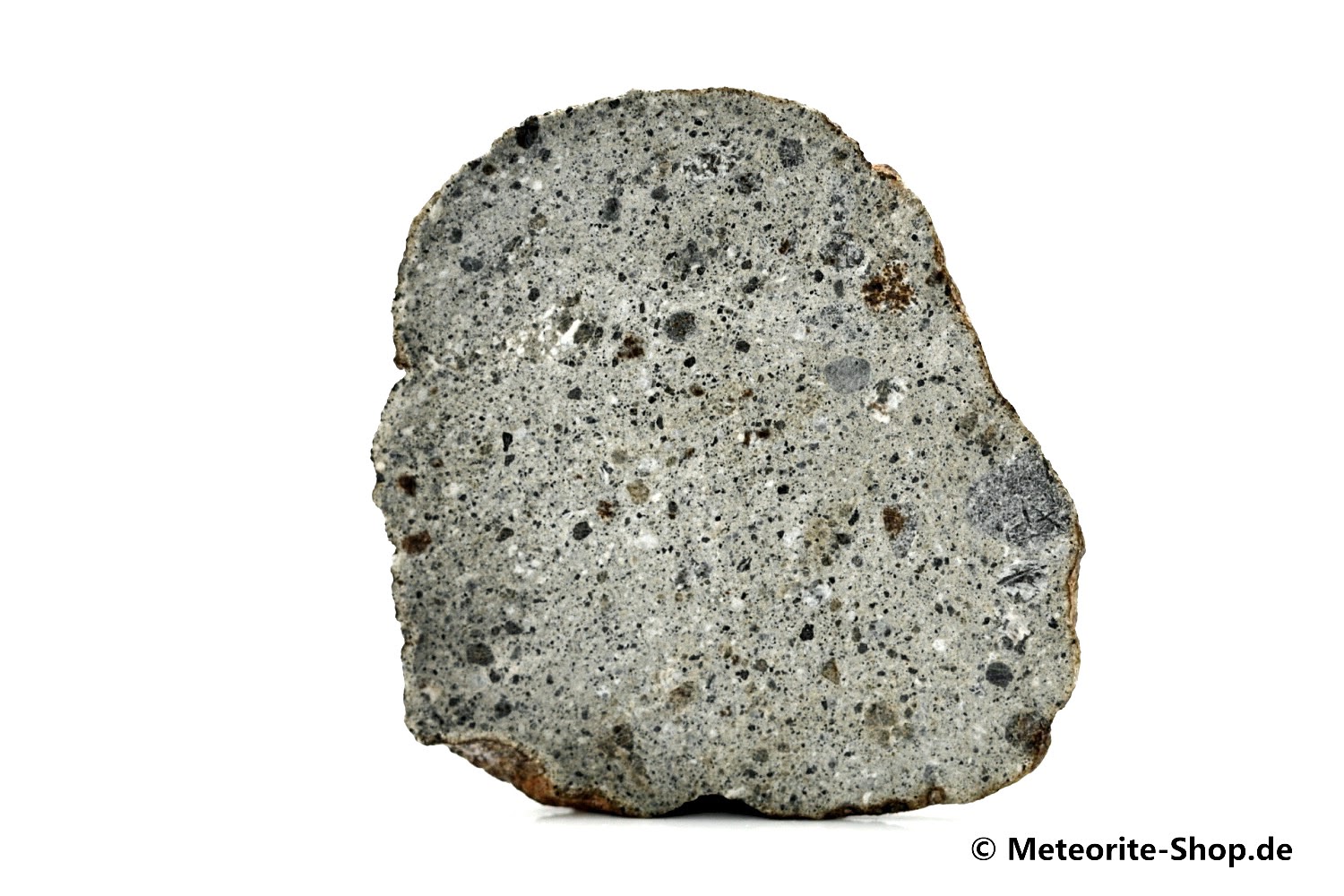 Zagora 011 Meteorit - 14,30 g