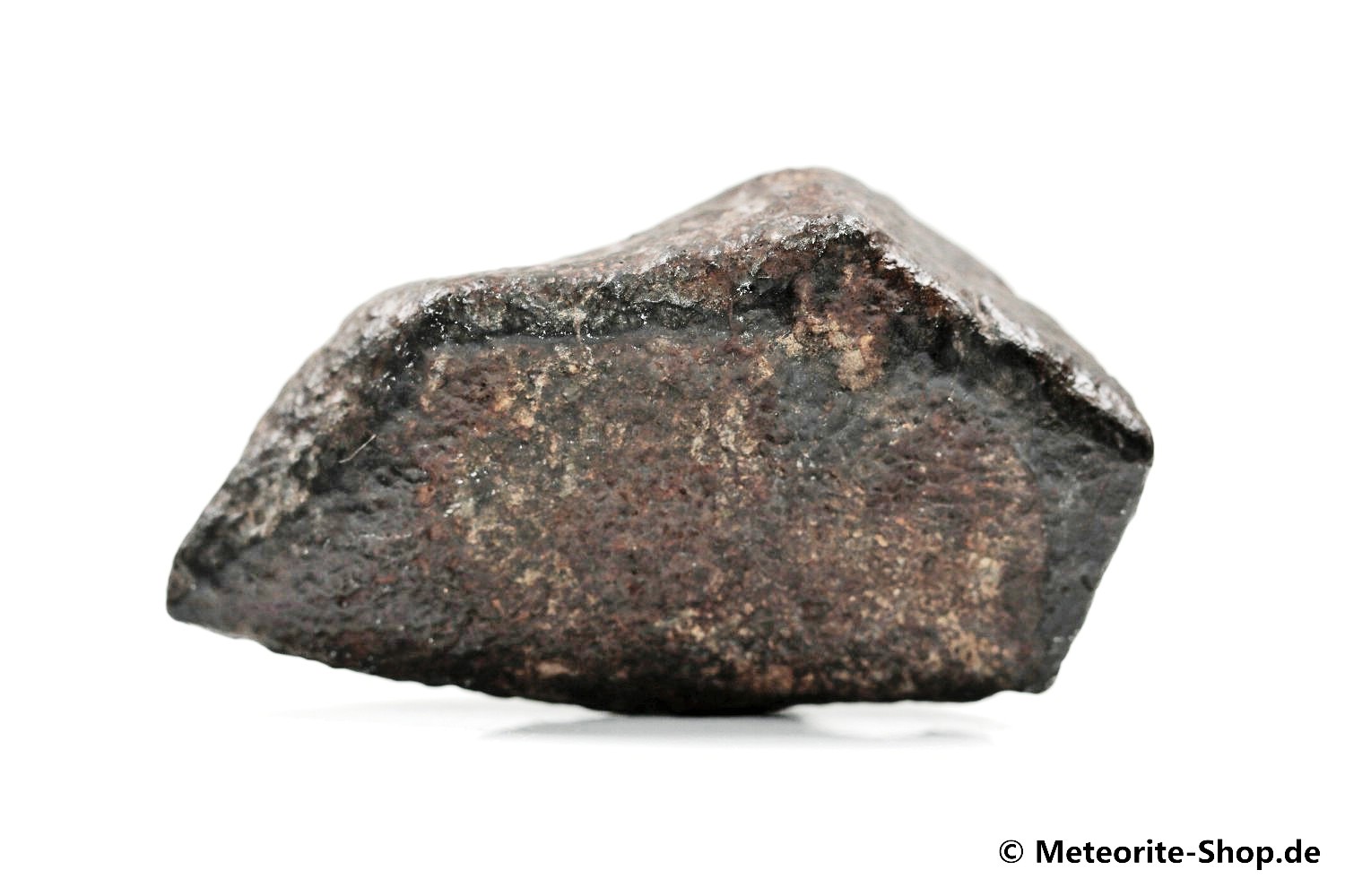 NWA Sahara Meteorit - 80,30 g