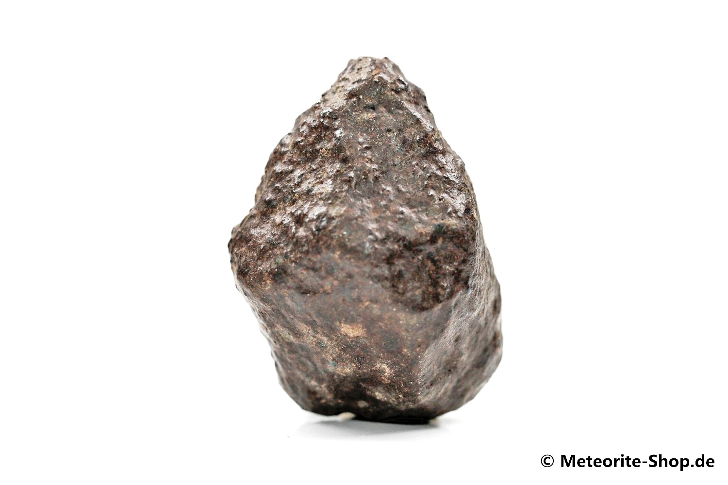 NWA Marokko Meteorit - 42,50 g