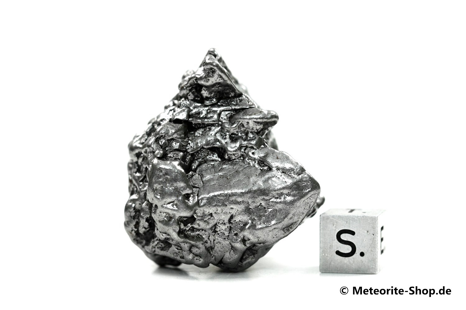 Campo del Cielo Meteorit - 102,40 g