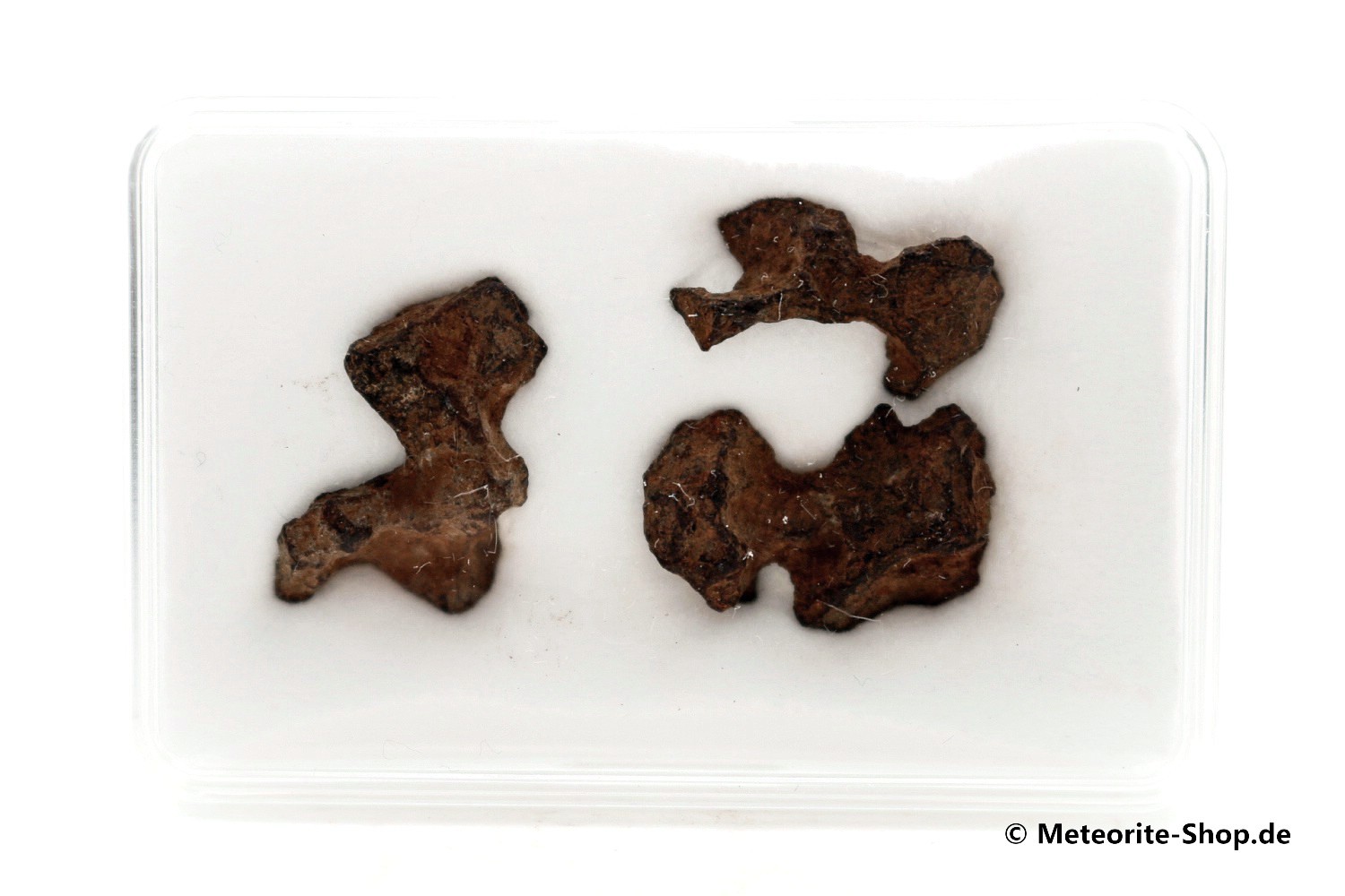Sericho Meteorit - 6,65 g