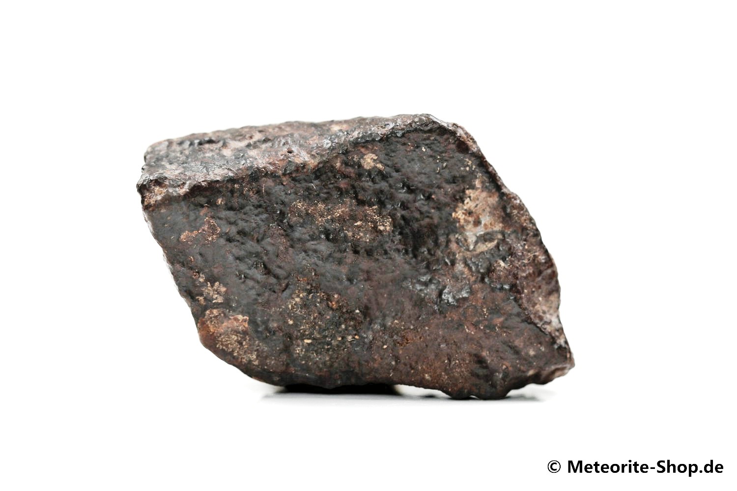 NWA Zagora Meteorit - 55,70 g