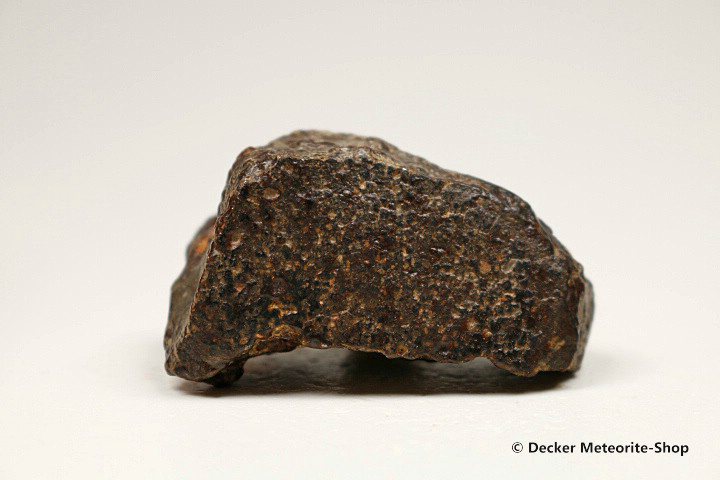 NWA 869 Meteorit - 54,00 g