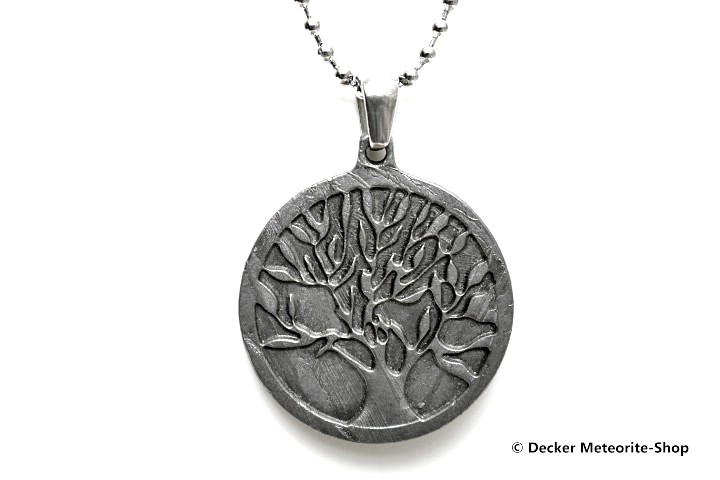 Eisen-Meteorit-Anhänger (Muonionalusta | Scheibe | Lebensbaum Carved Amulett) - 5,30 g