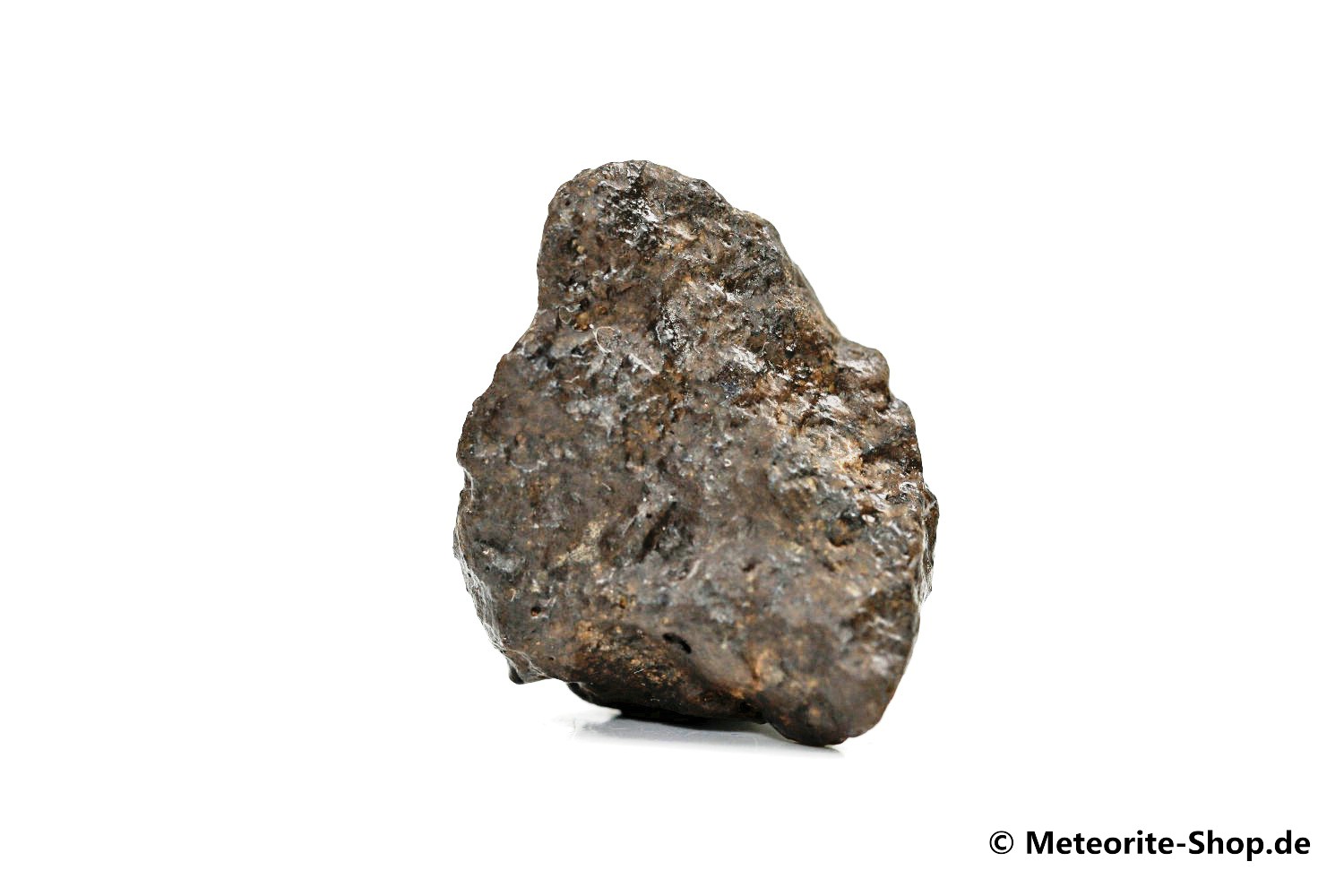 Taoudenni 003 Meteorit - 9,30 g