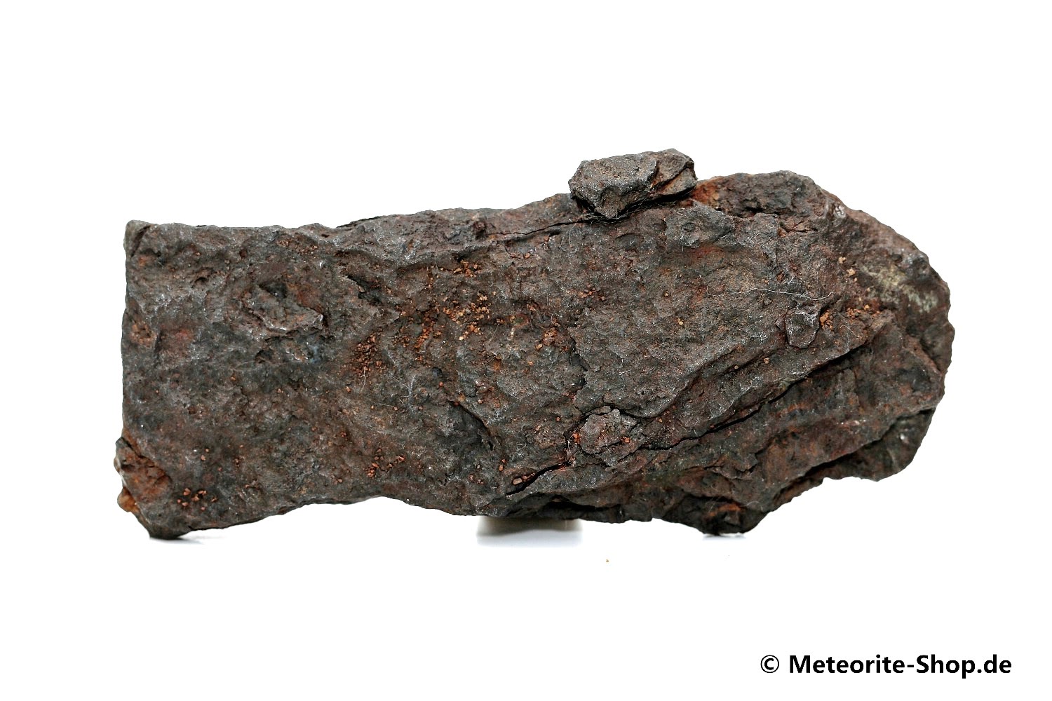 Vaca Muerta Meteorit - 31,00 g