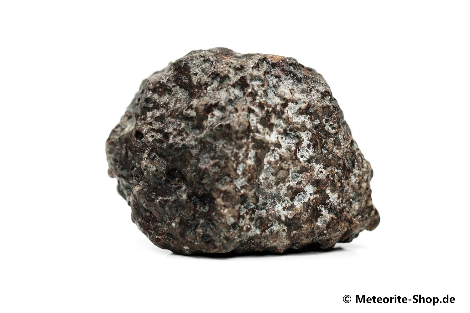 NWA 869 Meteorit - 78,40 g