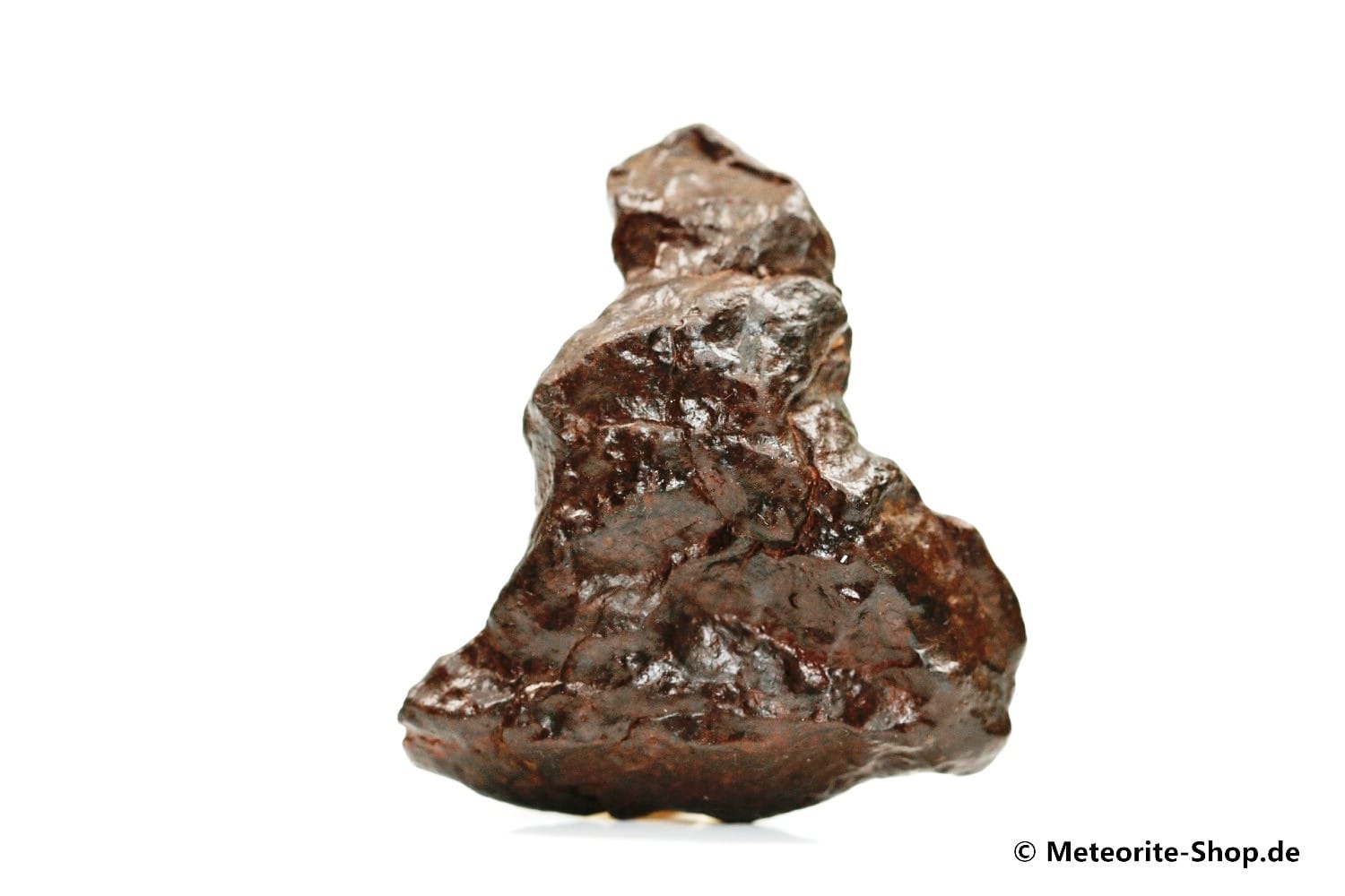 NWA Westsahara Meteorit - 25,50 g