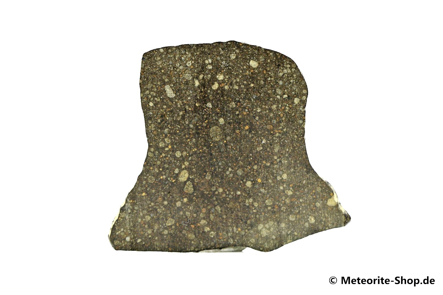 Gouchi 001 Meteorit - 3,70 g