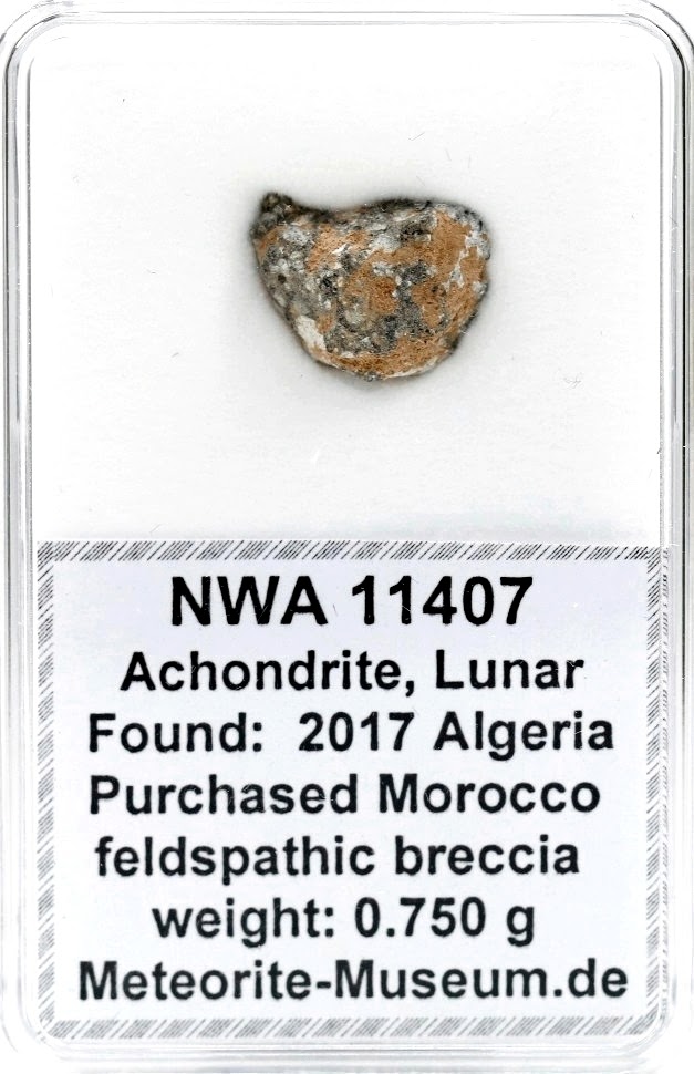 NWA 11407 Mond Meteorit - 0,750 g