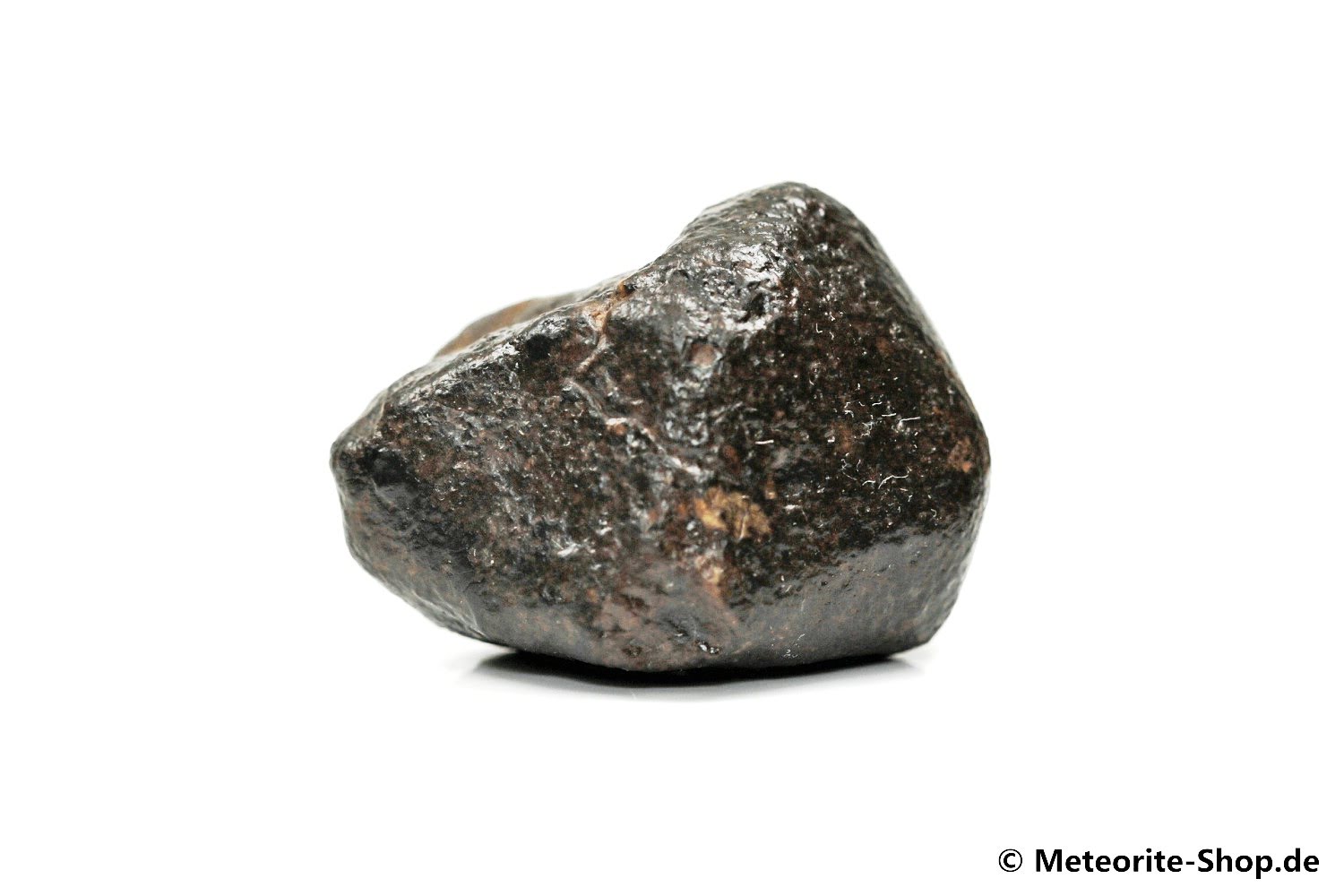 NWA Erfoud Meteorit - 31,90 g