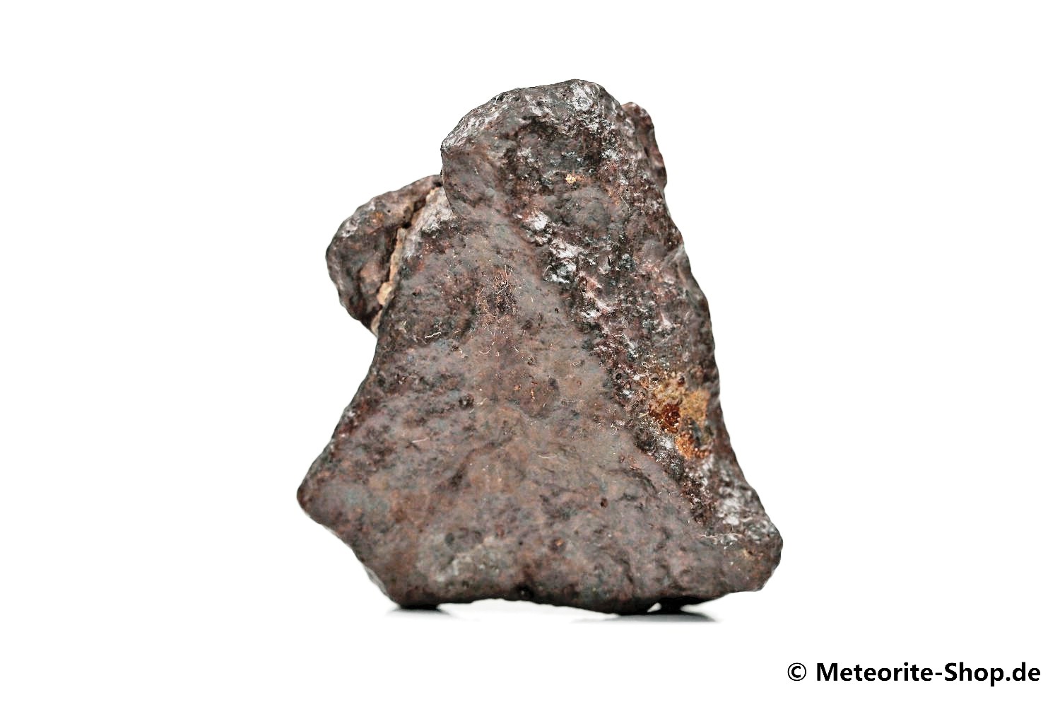 NWA Smara Meteorit - 56,80 g