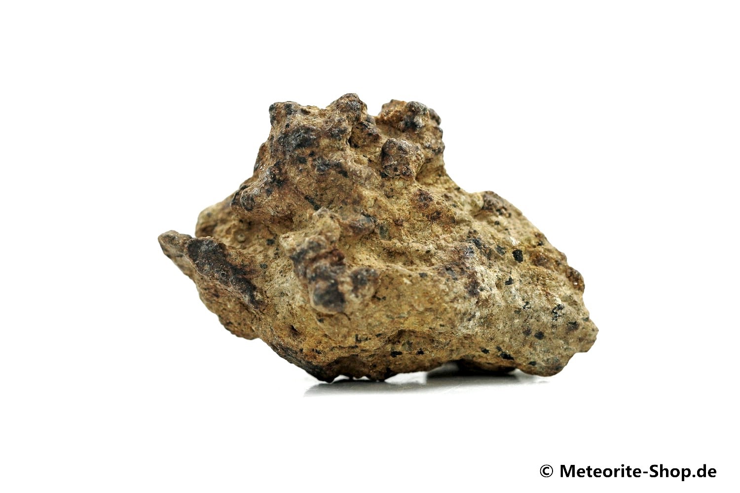 NWA 12953 Meteorit - 27,90 g