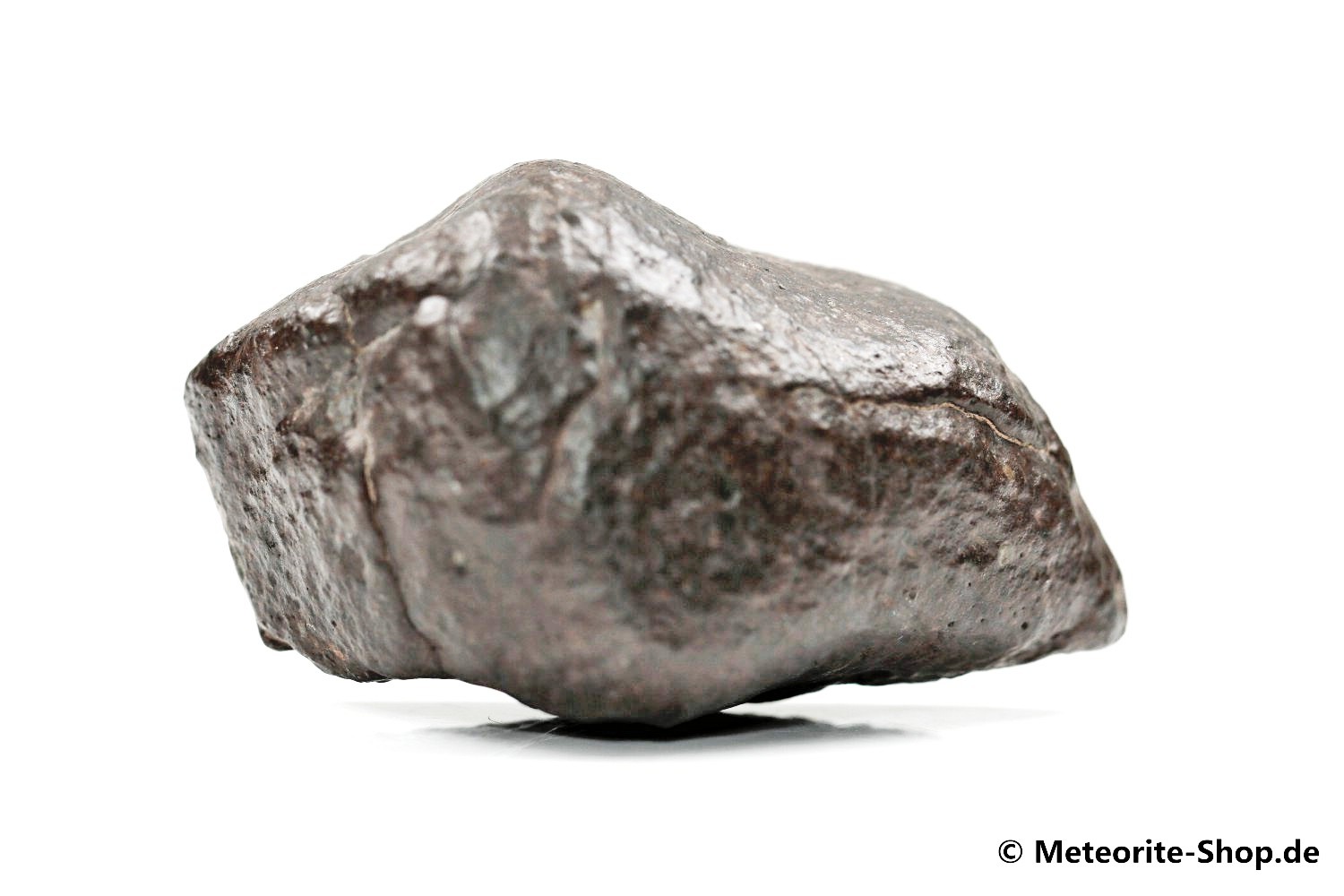 NWA Sahara Meteorit - 80,30 g