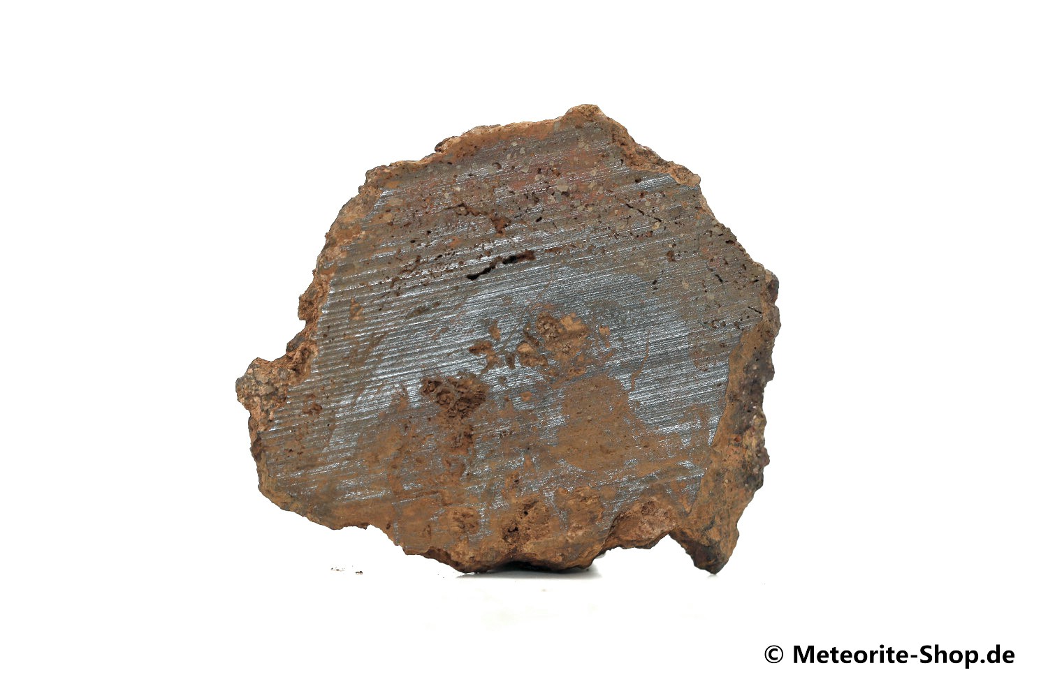 Santa Catharina Meteorit - 8,50 g