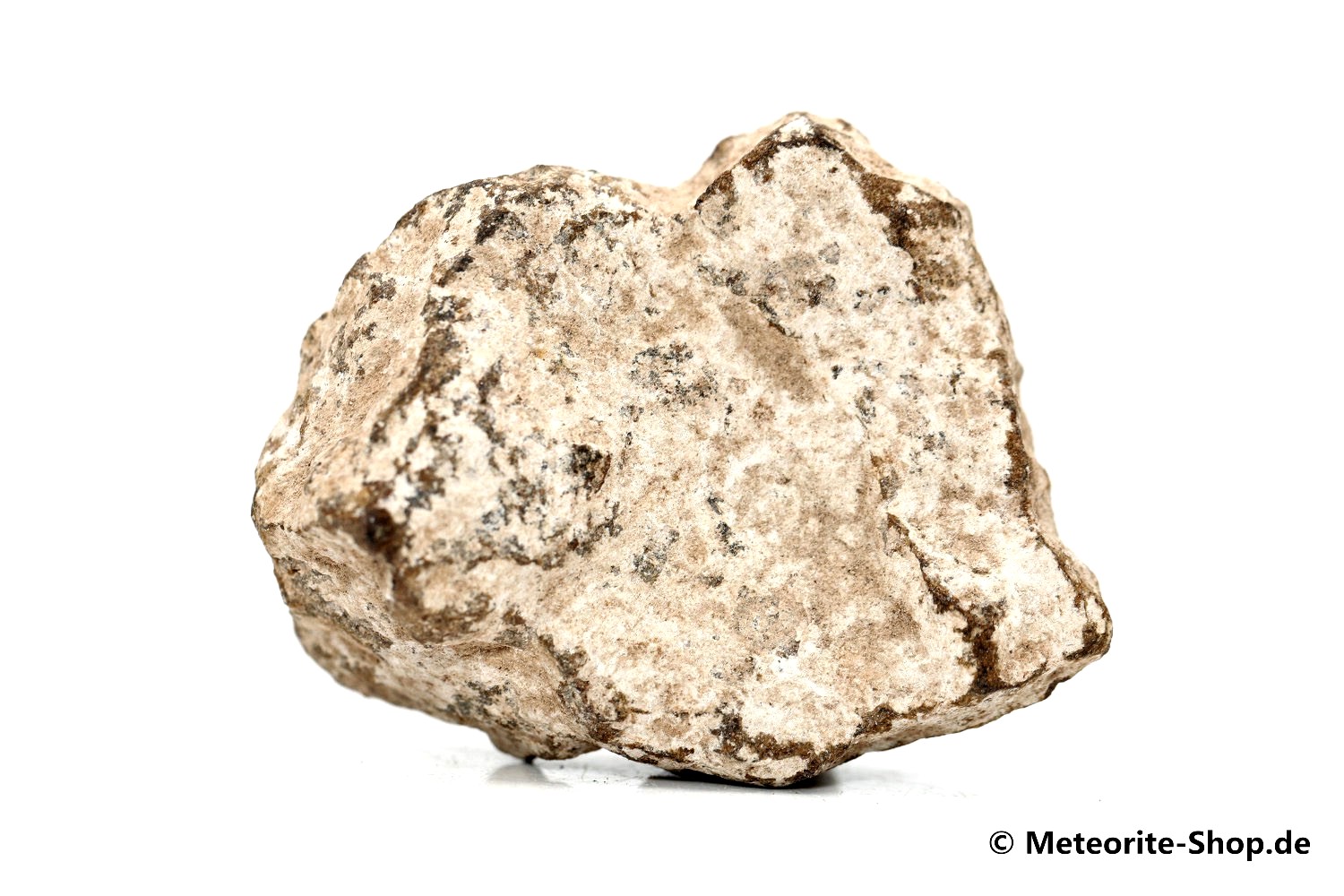 Al Haggounia 001 Meteorit - 34,10 g