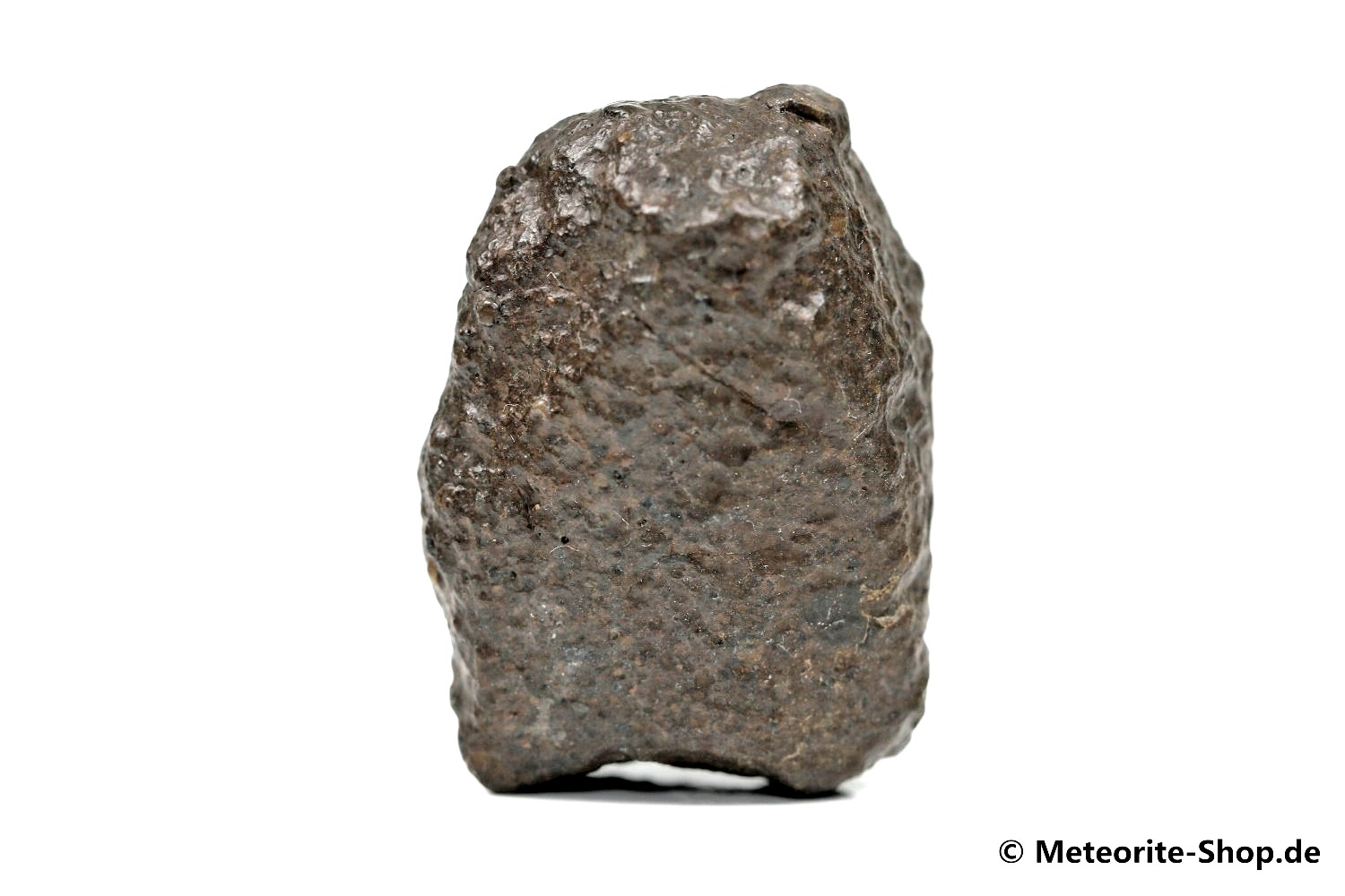 NWA 869 Meteorit - 67,70 g