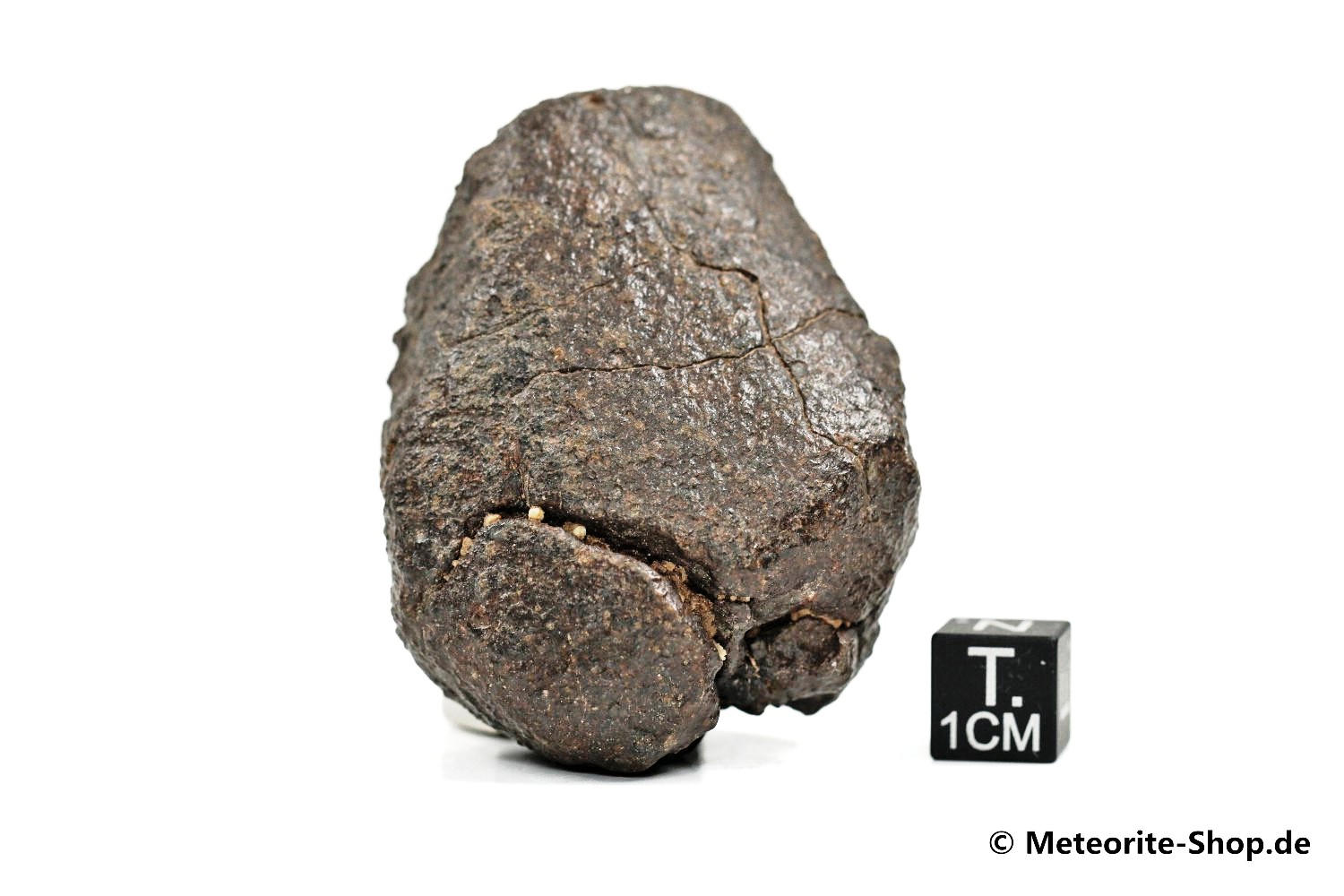 NWA Westsahara Meteorit - 96,80 g