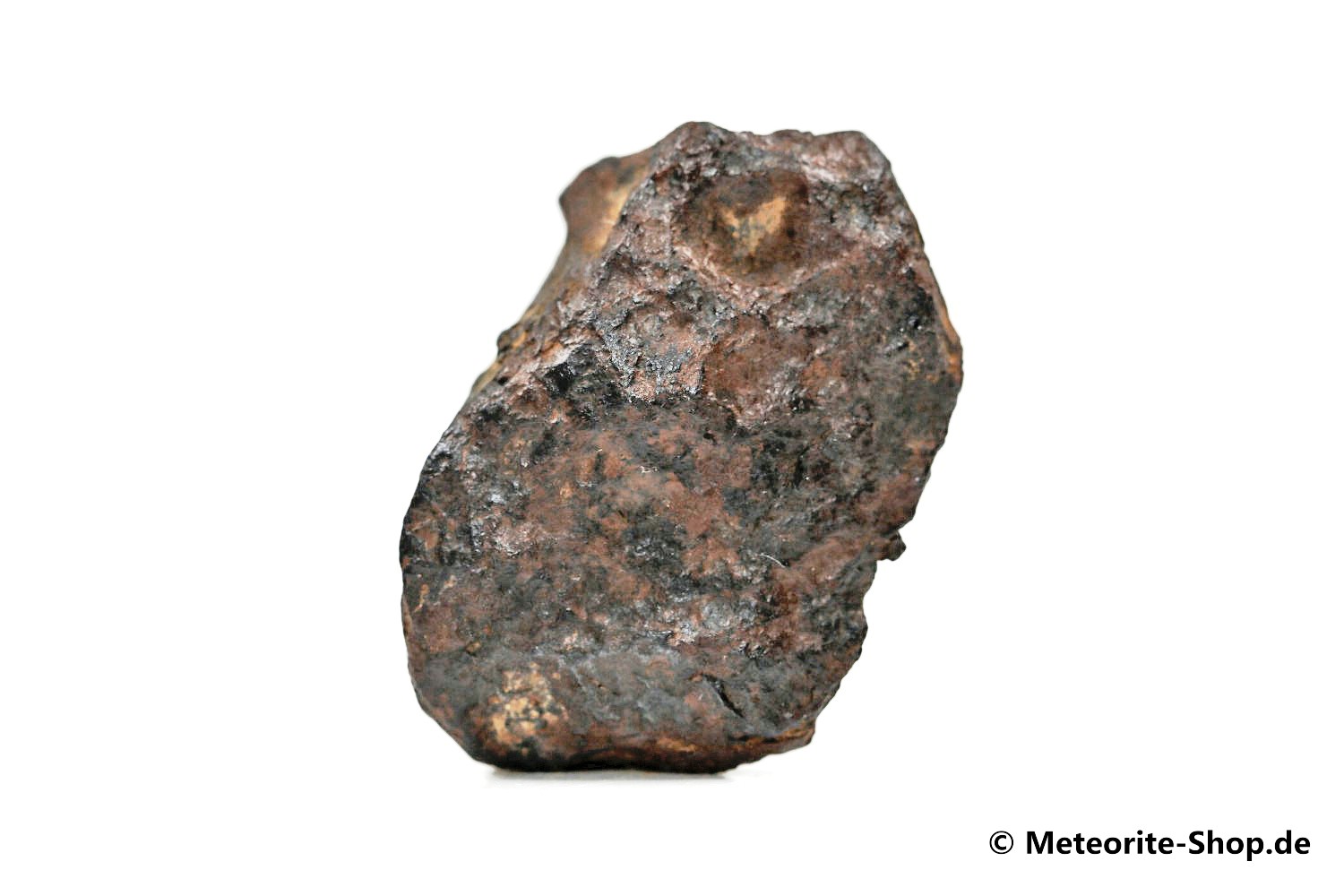 NWA 859 Meteorit - 7,40 g