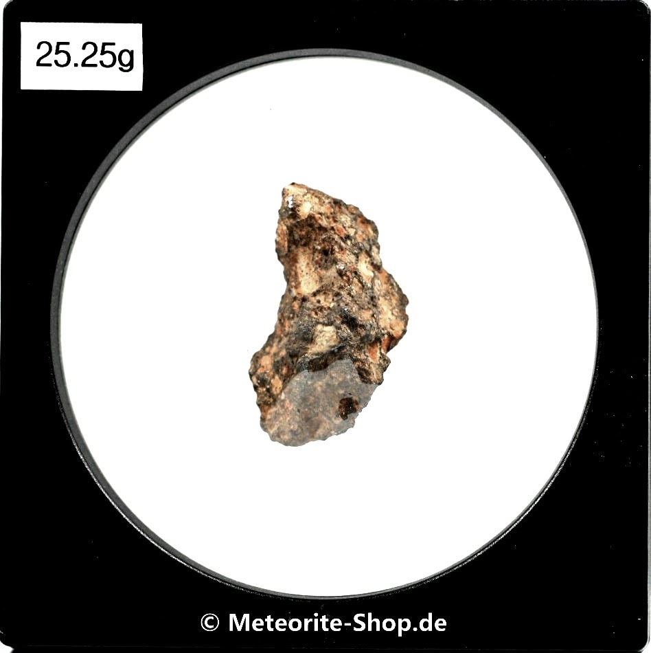 NWA 11407 Mond Meteorit - 25,25 g