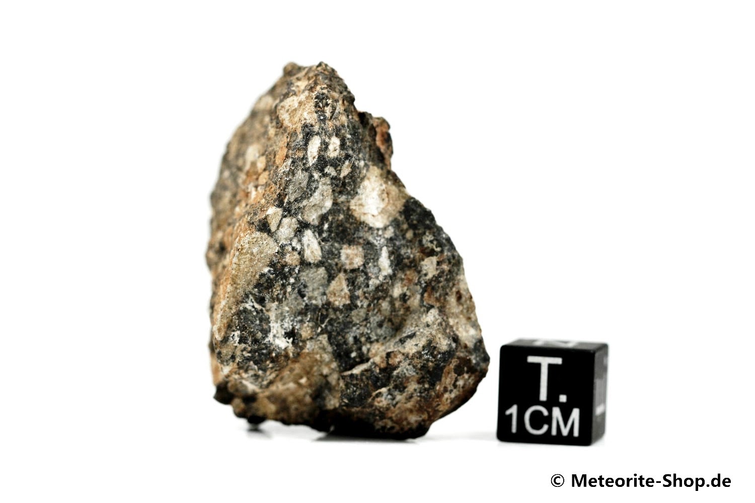 NWA 11407 Mond Meteorit - 27,35 g