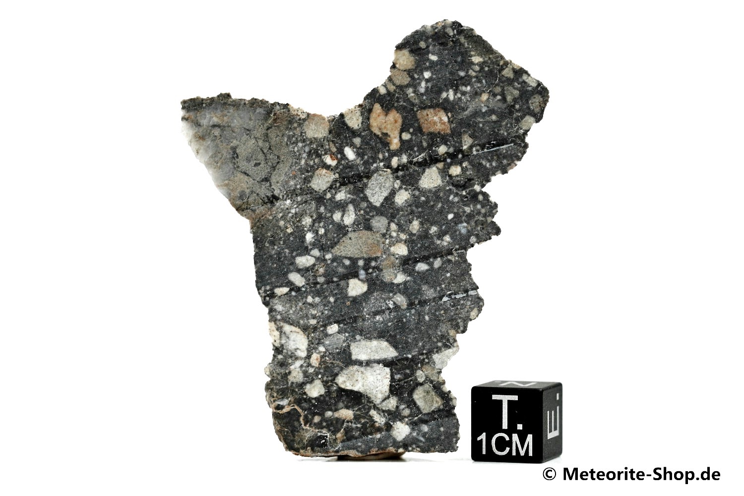 NWA 11407 Mond Meteorit - 16,80 g