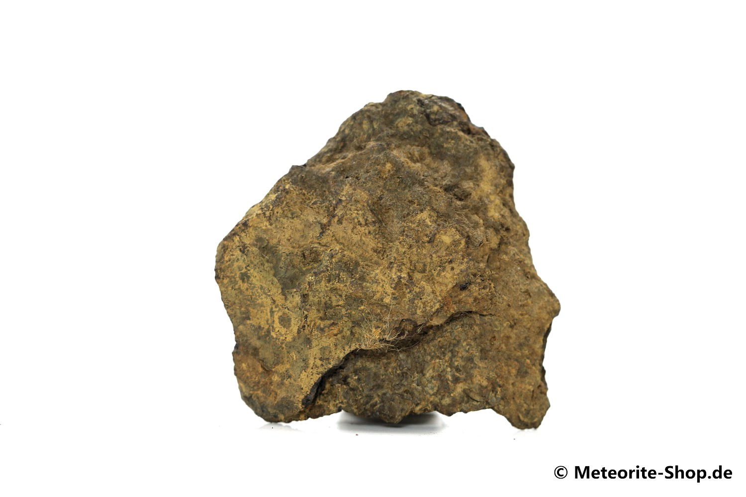 Dronino Meteorit - 8,30 g