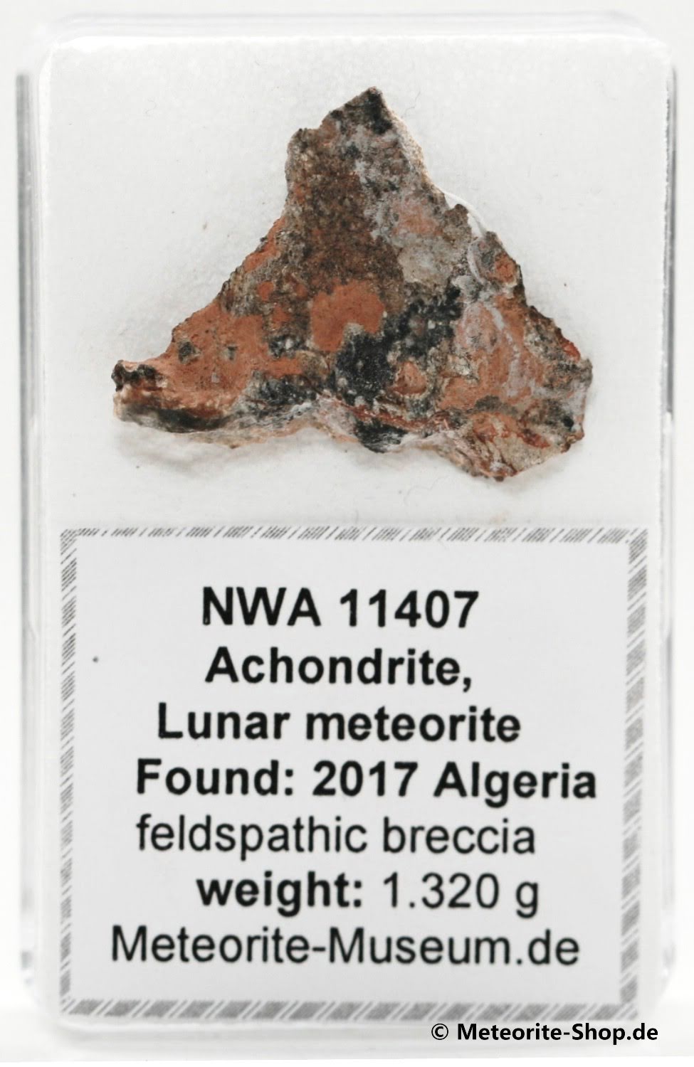 NWA 11407 Mond Meteorit - 1,320 g